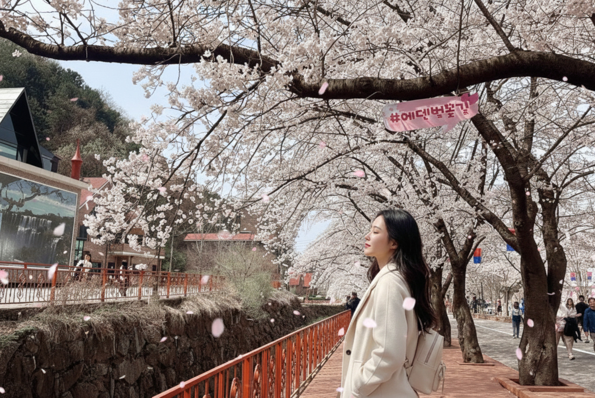 Nami Island / Cheon Il Hong / Pink Muhly / Rail Bike Day Tour