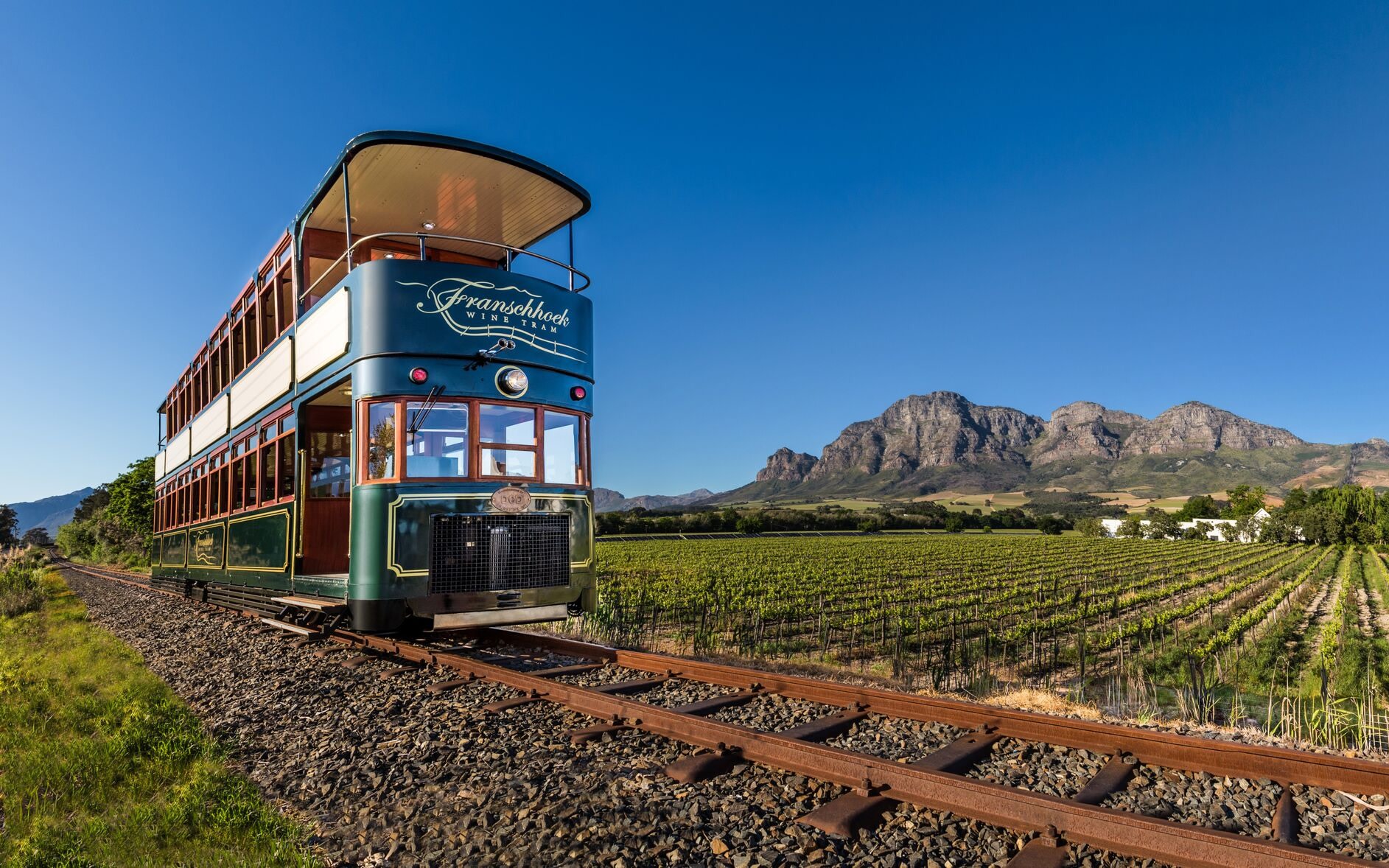 Cape Town Full-Day Wine Tasting & Tram Experience with Guided Tour