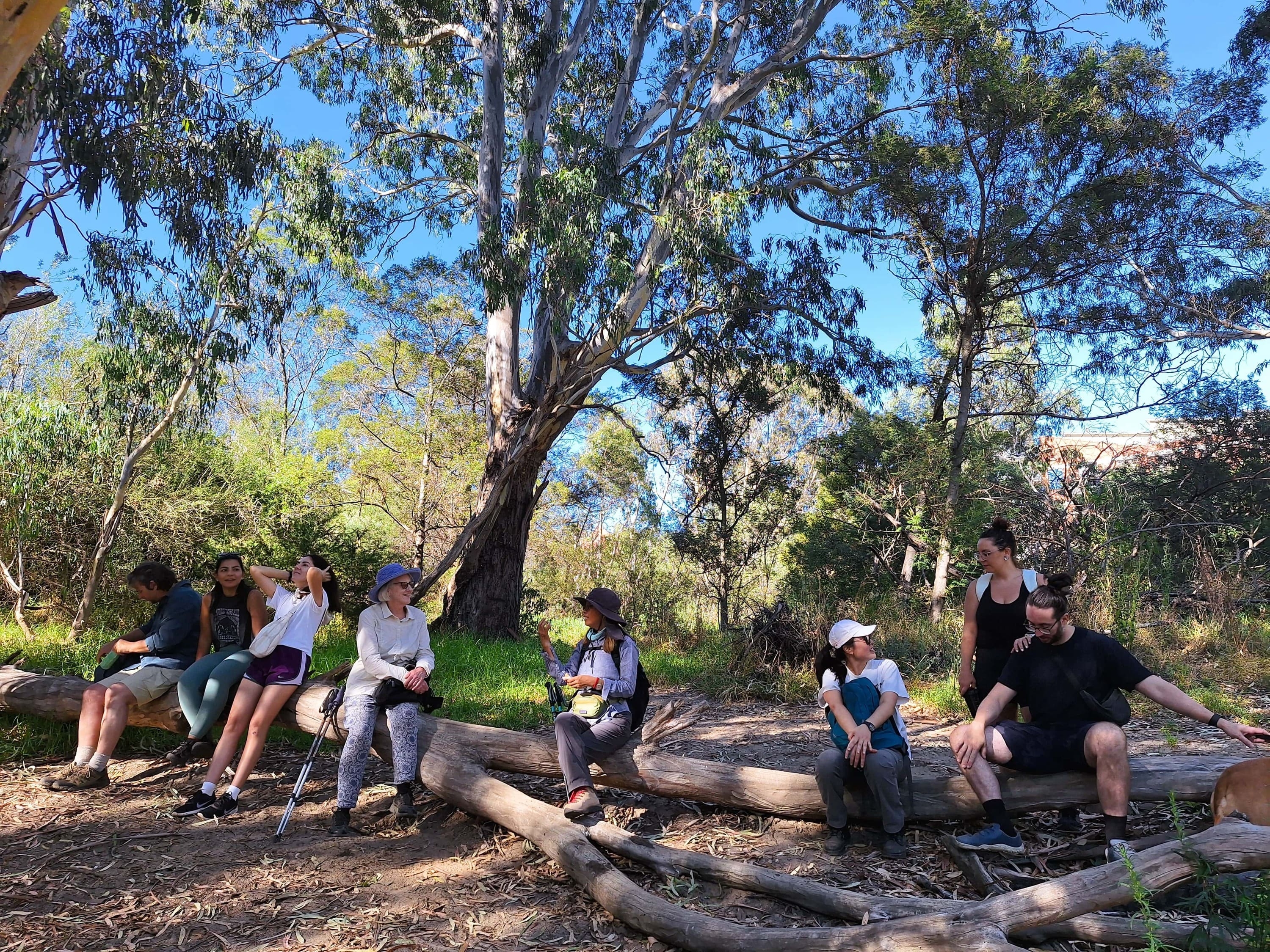 Experience the charm of a historic boathouse nestled quietly beside the Yarra River