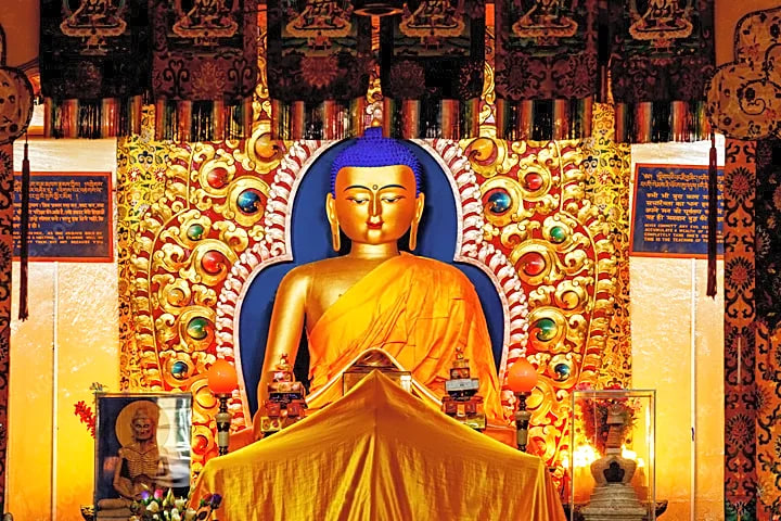 From Delhi : 5 Day Dharamsala & Mcleodganj Tour with 5-Star Hotels
