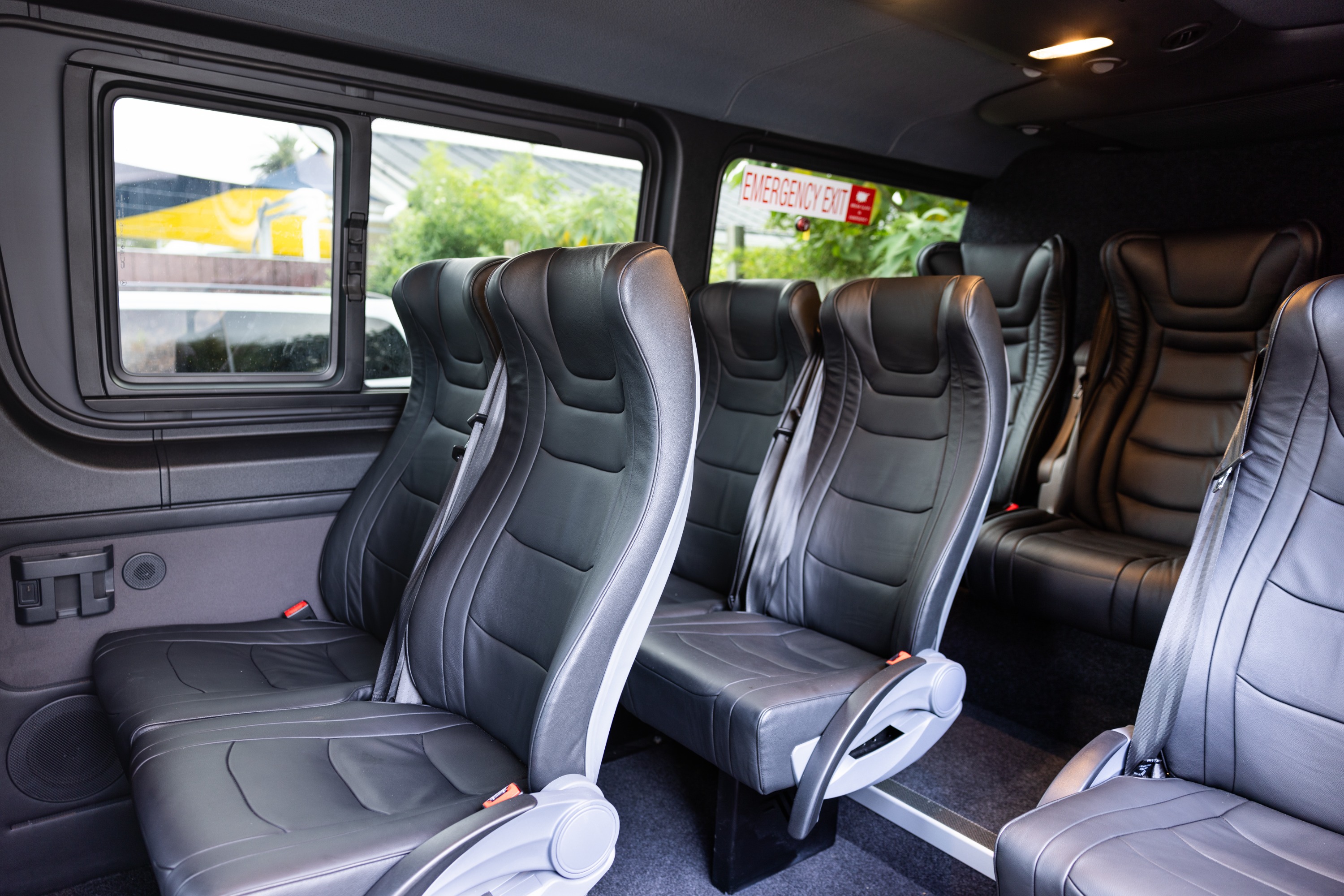 奥克兰霍比屯 & 怀托摩洞穴小团高级一日游