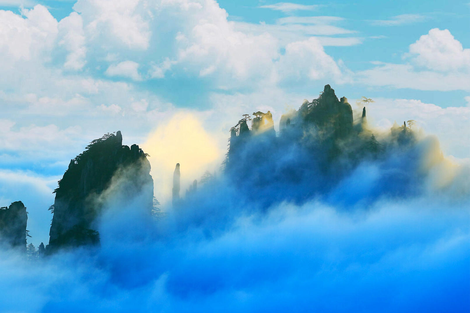 The most representative pines of Huangshan are gathered here, such as the Jieying Pine, the Black Tiger Pine, the Lianli Pine, the Dragon Claw Pine, etc., with twisted and strong branches, standing on cliffs or growing in cracks in rocks, with various sha