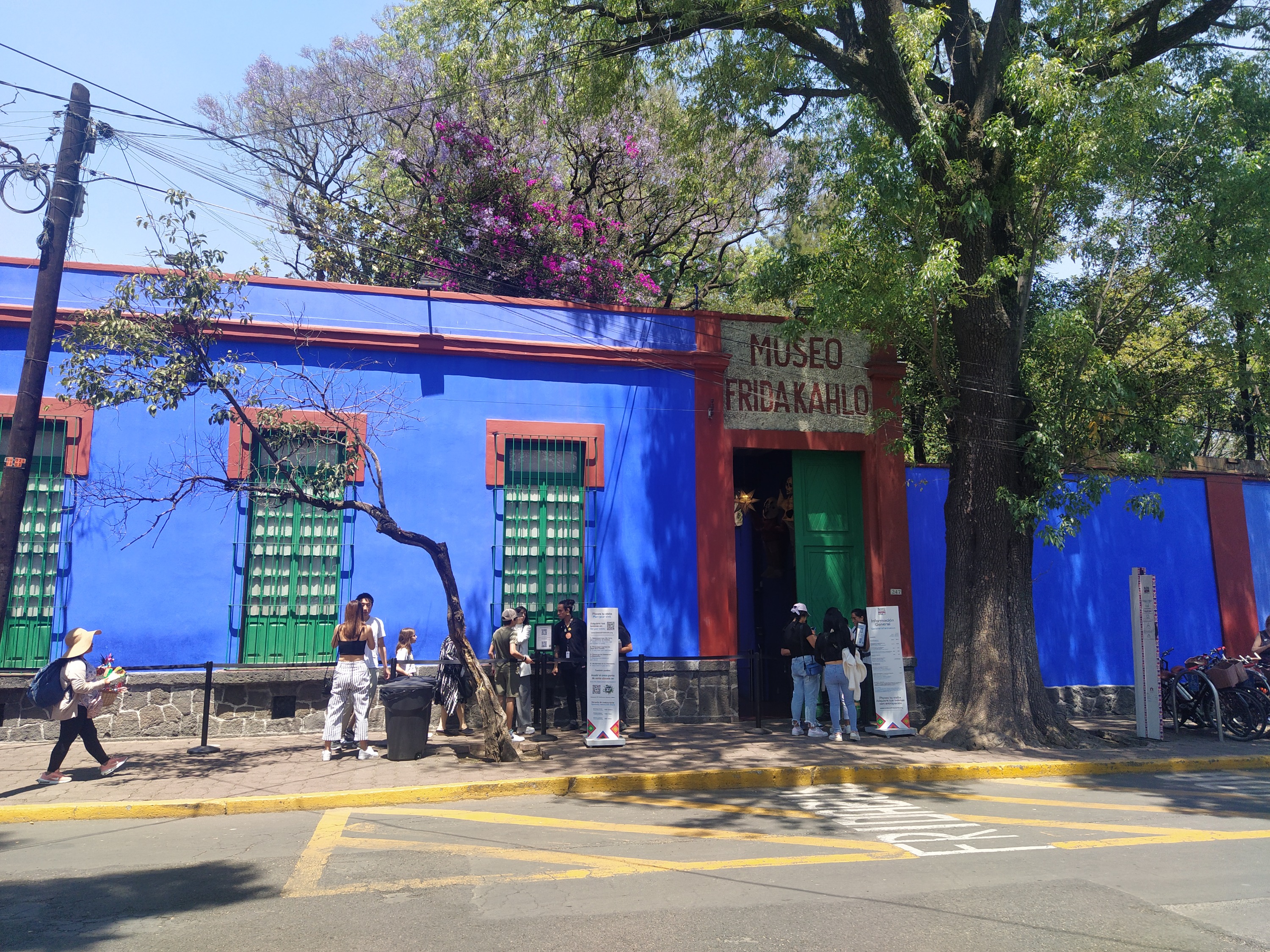 Frida Kahlo and Anahuacalli Museum Ticket with Digital Guide