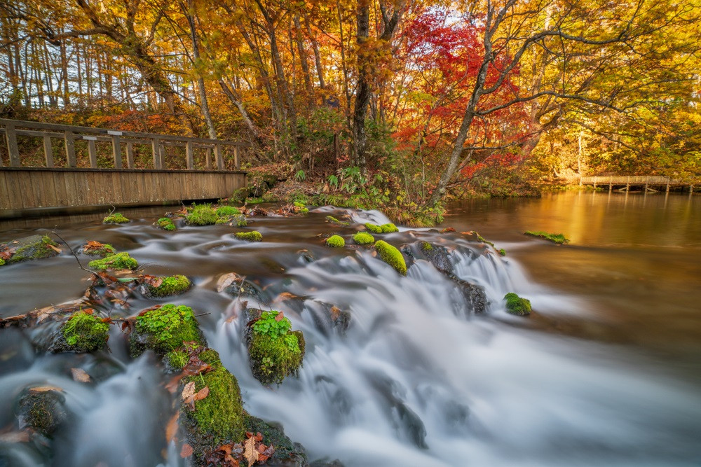 [Hokkaido | Noboribetsu Lake Toya Niseko One-Day Tour] Little Fuji Yotei & Takahashi Ranch & Lake Toya & Noboribetsu Hell Valley & Bear Ranch & Kyogoku Famous Water Park & Winter Lake Shikotsu Ice Wave Festival One-day Tour ｜Departure from Sapporo