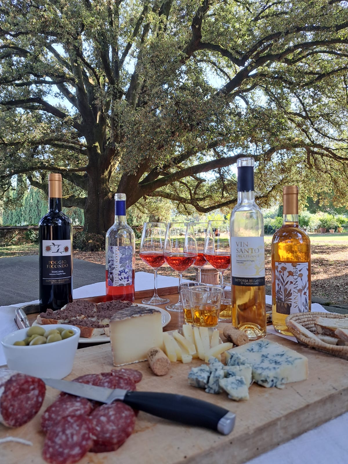 Tuscan Bites & Sips: Discover Tuscany Through Wine