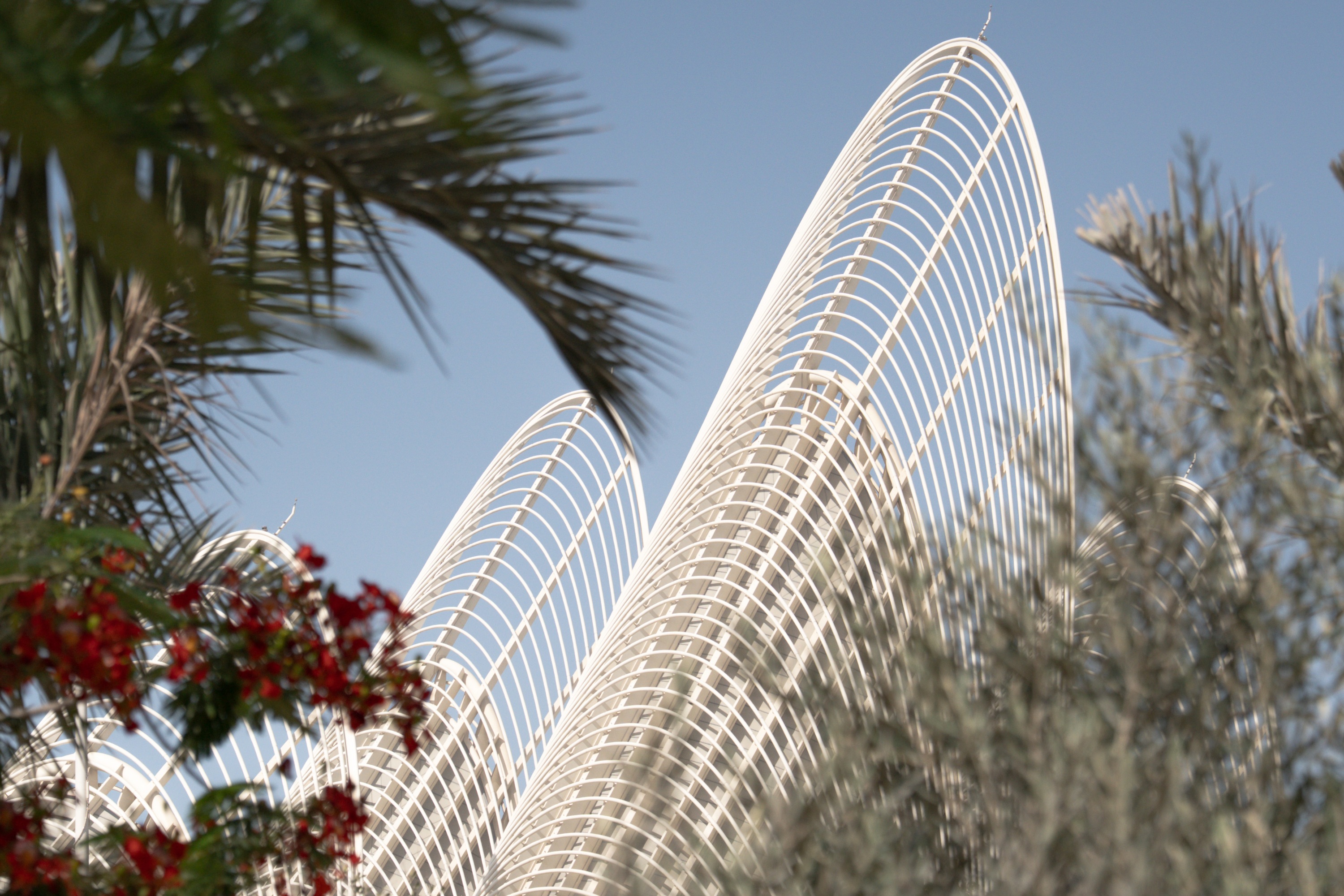 Zayed National Museum Ticket in Abu Dhabi