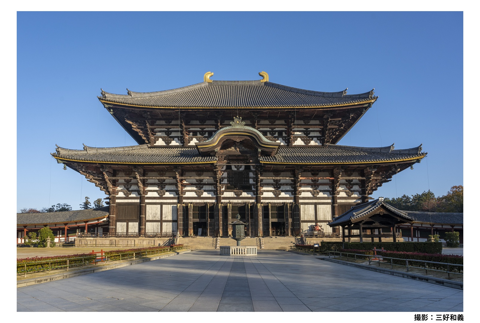 東大寺 [圖片由奈良觀光局提供]