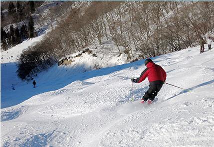 GRANSNOW Okuibuki Ski Resort Ski Day Tour  from Osaka