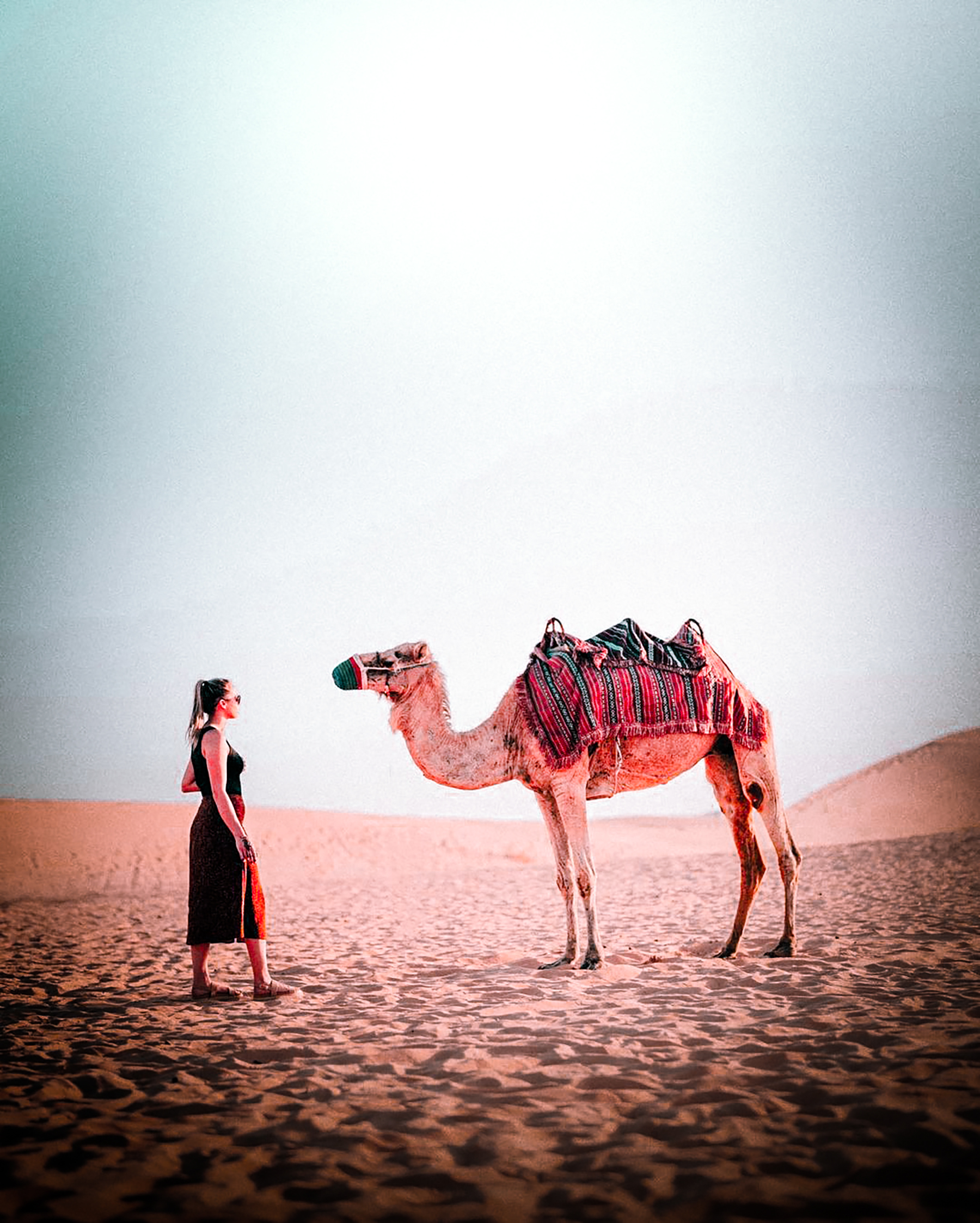 阿布扎比沙漠半日駱駝騎行探險