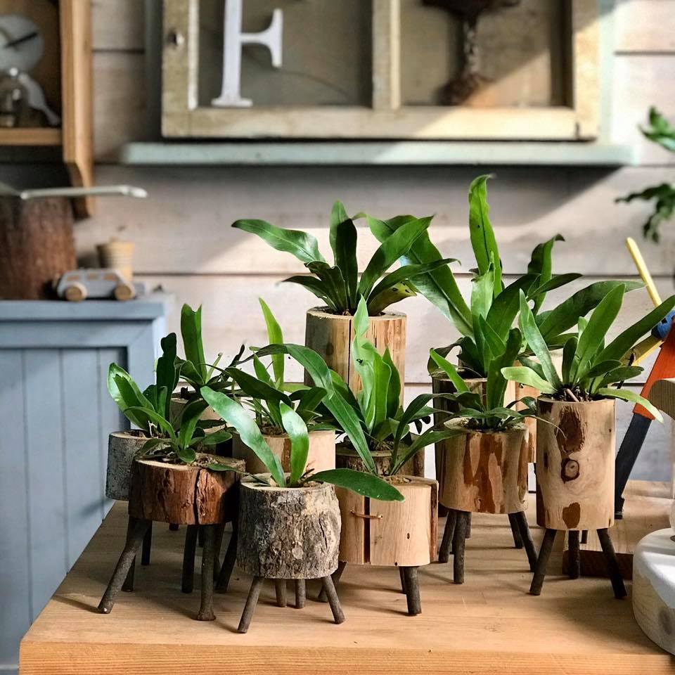 Little Monster Potted Plant DIY