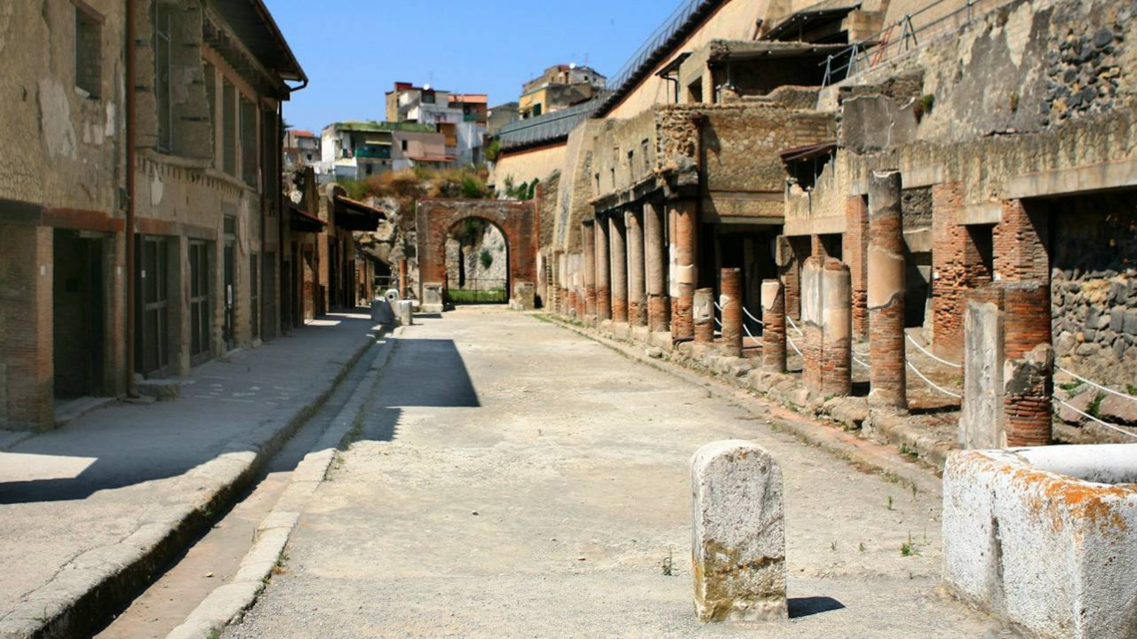 Archeological park ticket in Herculaneum