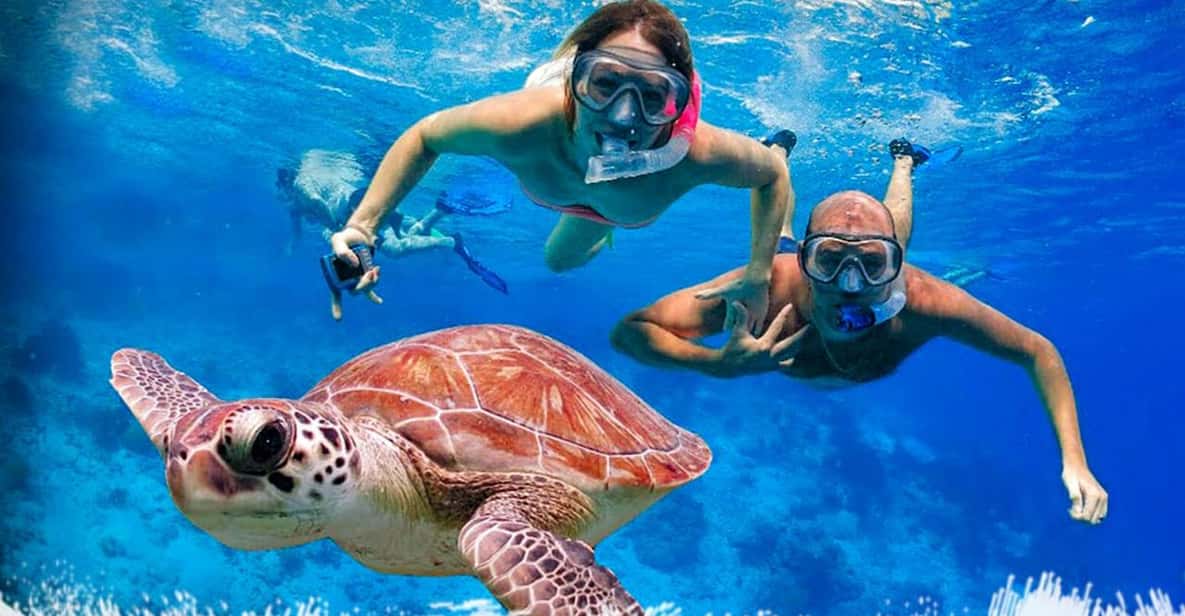 Mirissa Unforgettable Snorkeling Experience with Turtles