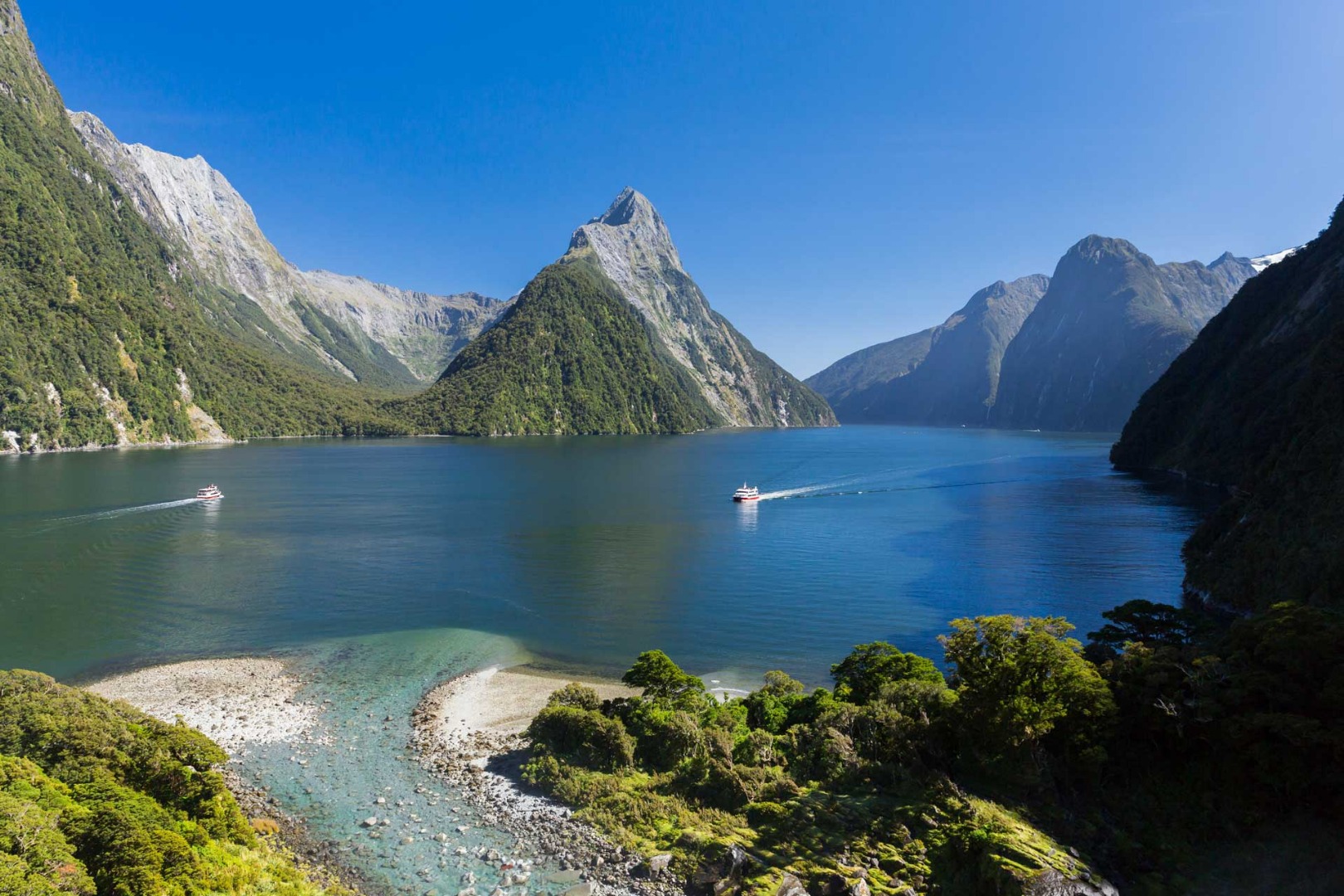 milford sound tour package