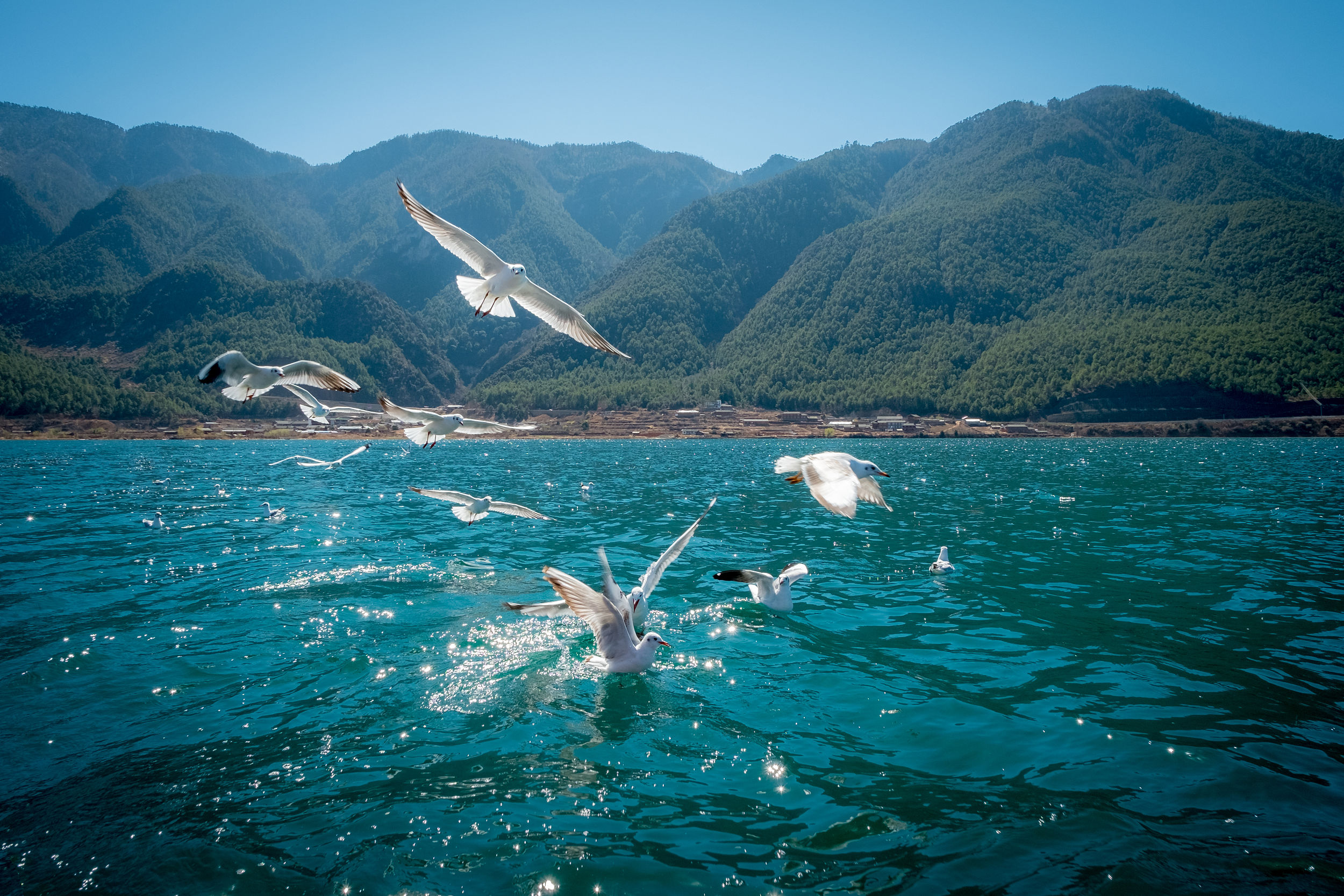 Lijiang Lugu Lake & Lover's Beach 2-Day Tour with Bonfire Party