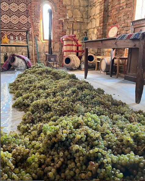 Wine Tour from Kutaisi