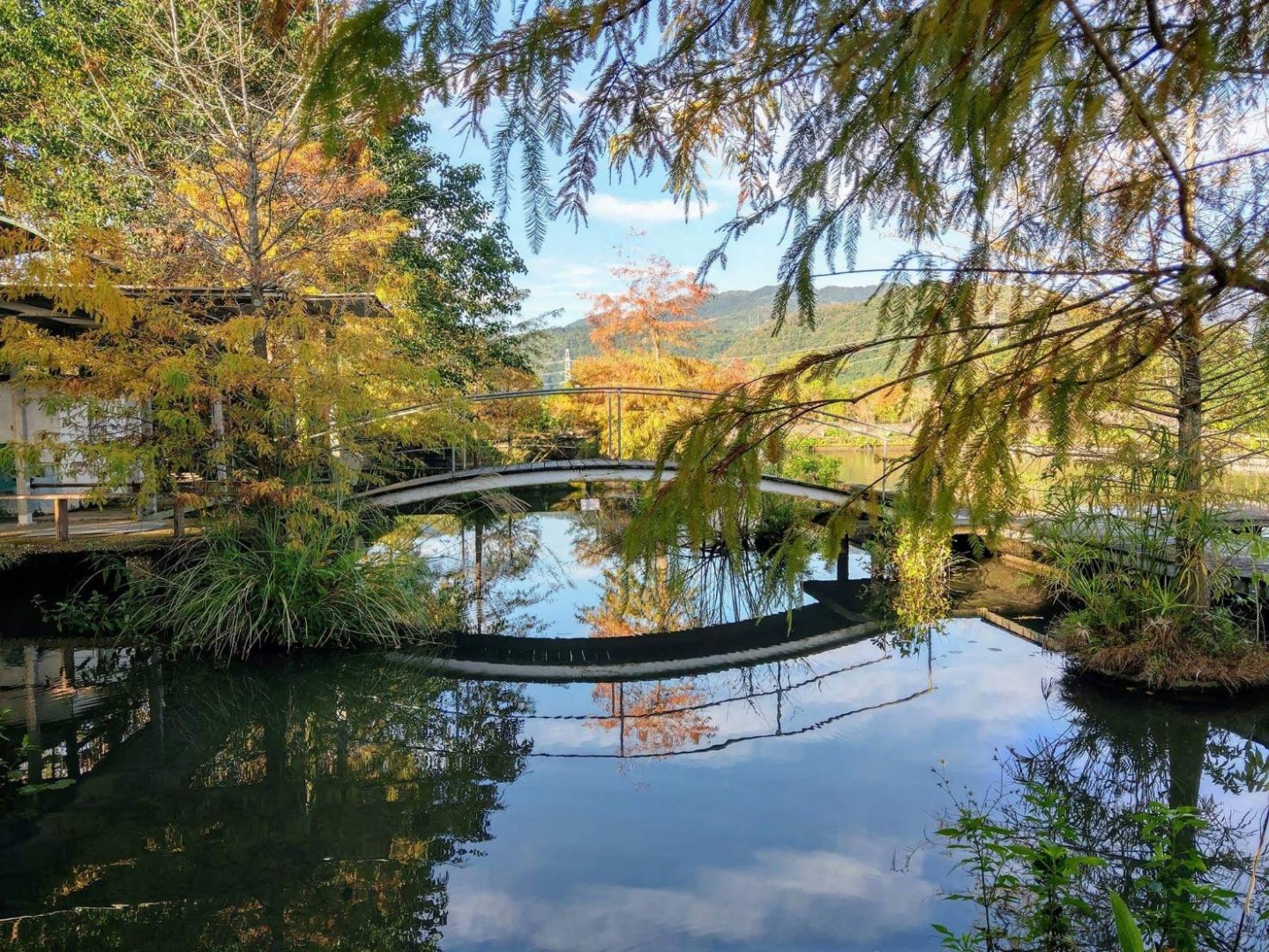 來到勝洋水草休閒農場,親近大自然讓身心靈放鬆! 來到勝洋水草休閒農場,親近大自然讓身心靈放鬆!