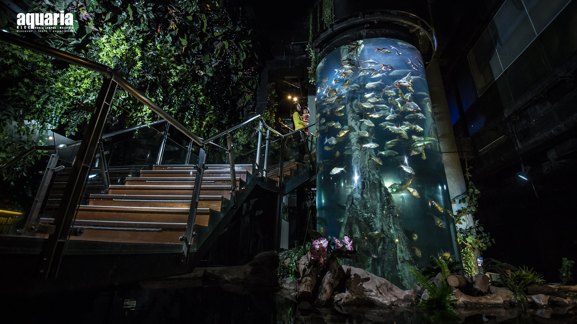 One of the top 5 aquariums in Asia