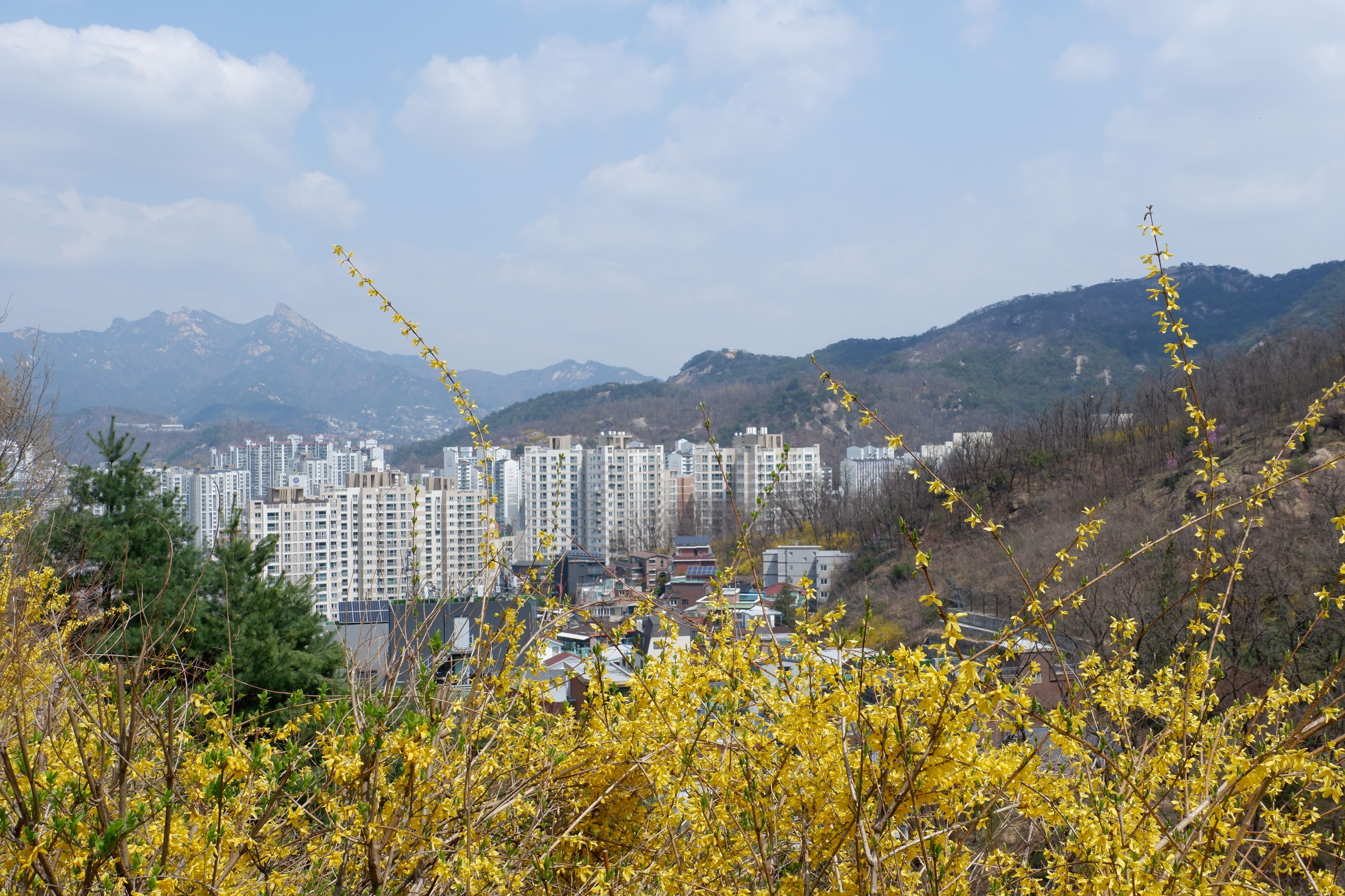 韓服 + 景福宮 + 東仁市場導覽步行遊