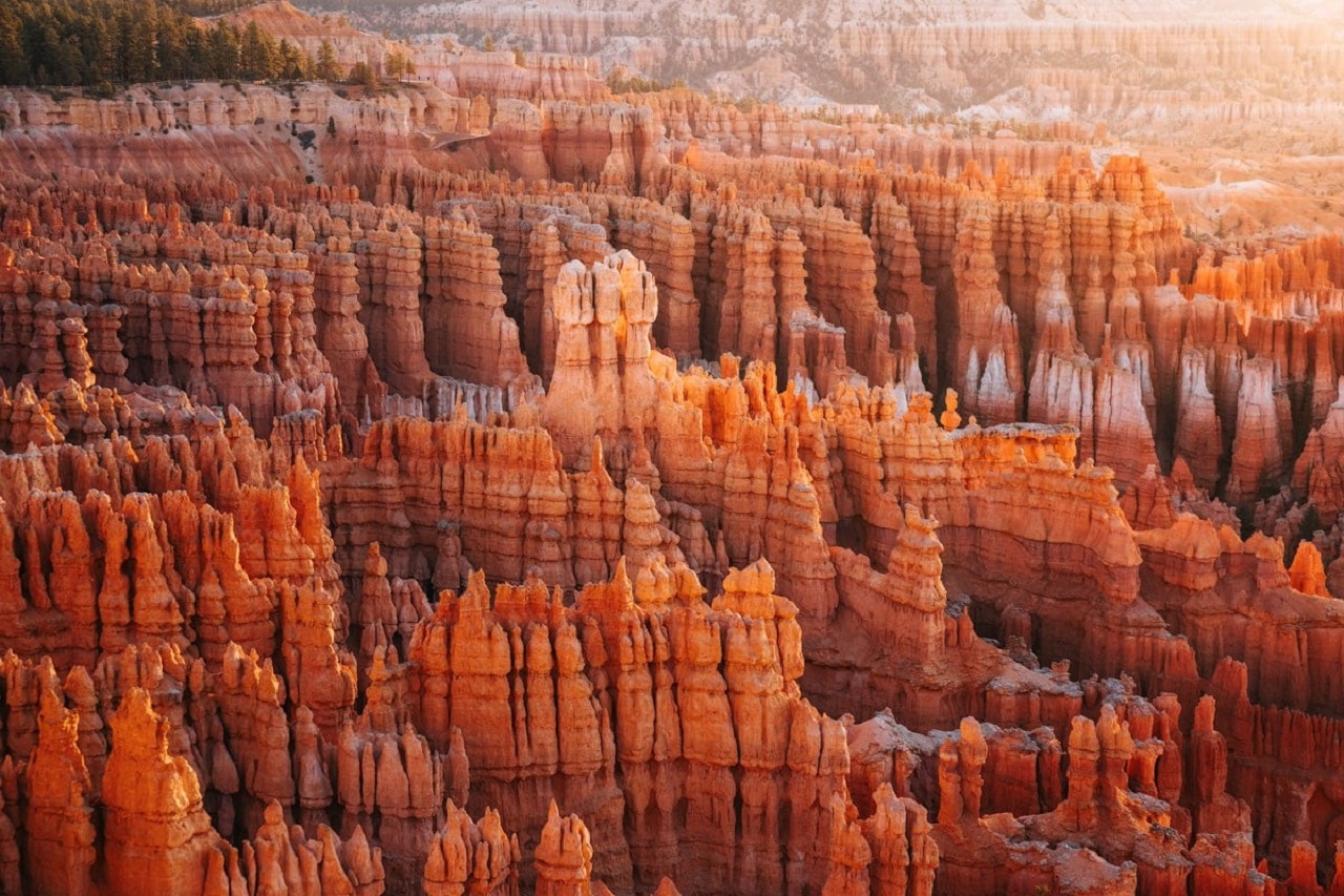 Zion and Bryce Canyon National Park Day Tour in Las Vegas