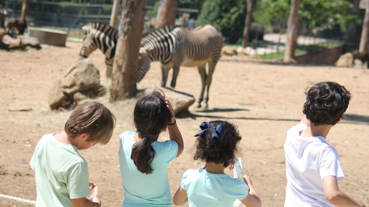 Zoo Santo Inacio ticket in Avintes