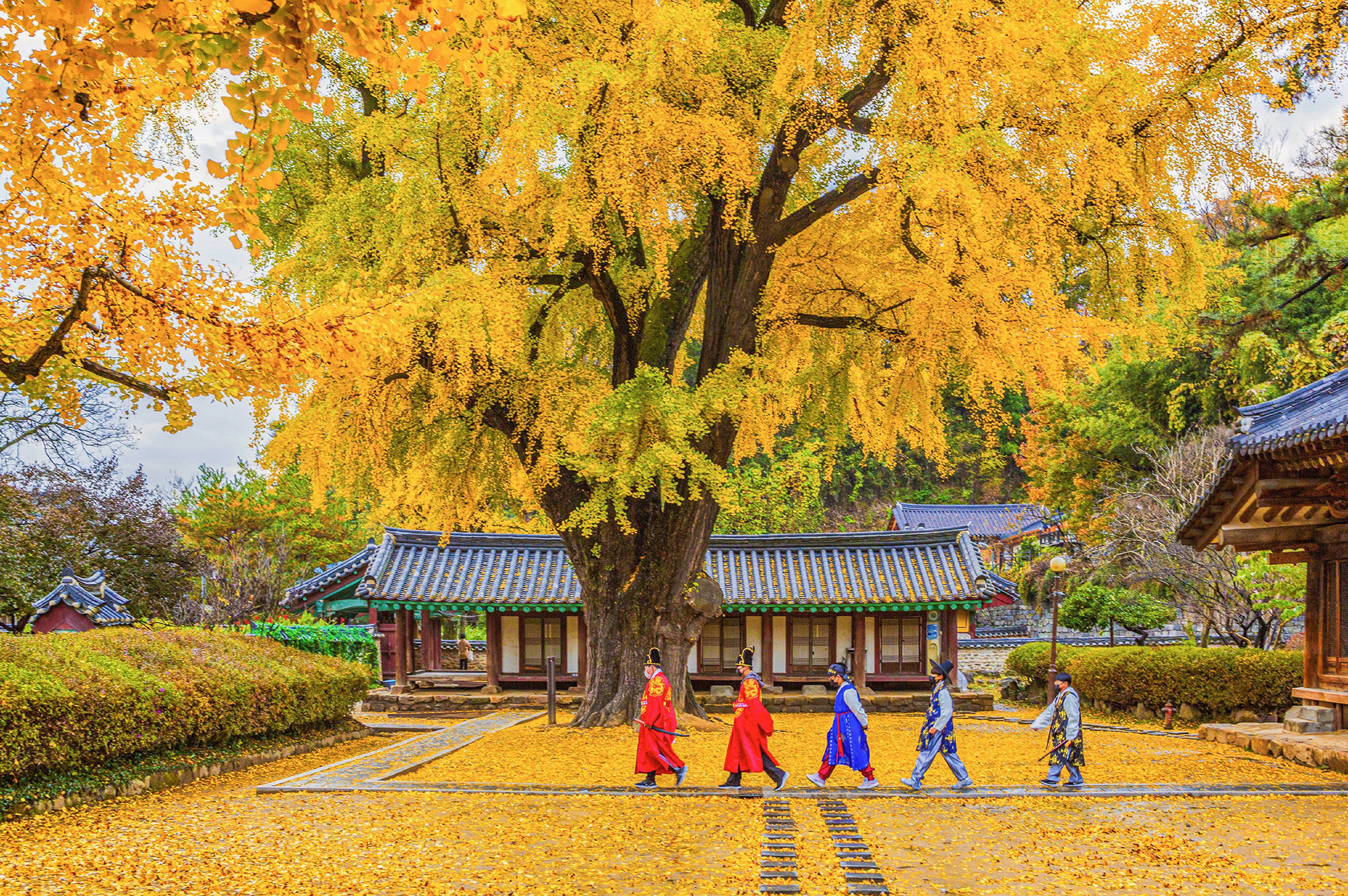 Seuldan Jeonju Hanok qishlog‘i gastrollari