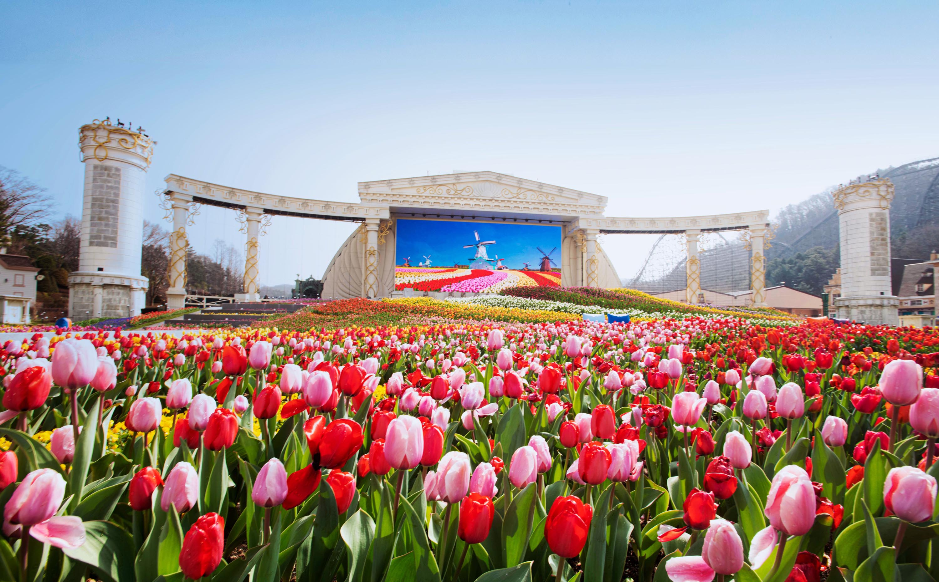 Everland & Lotte World Multi-day Adventure & City Highlights Tour