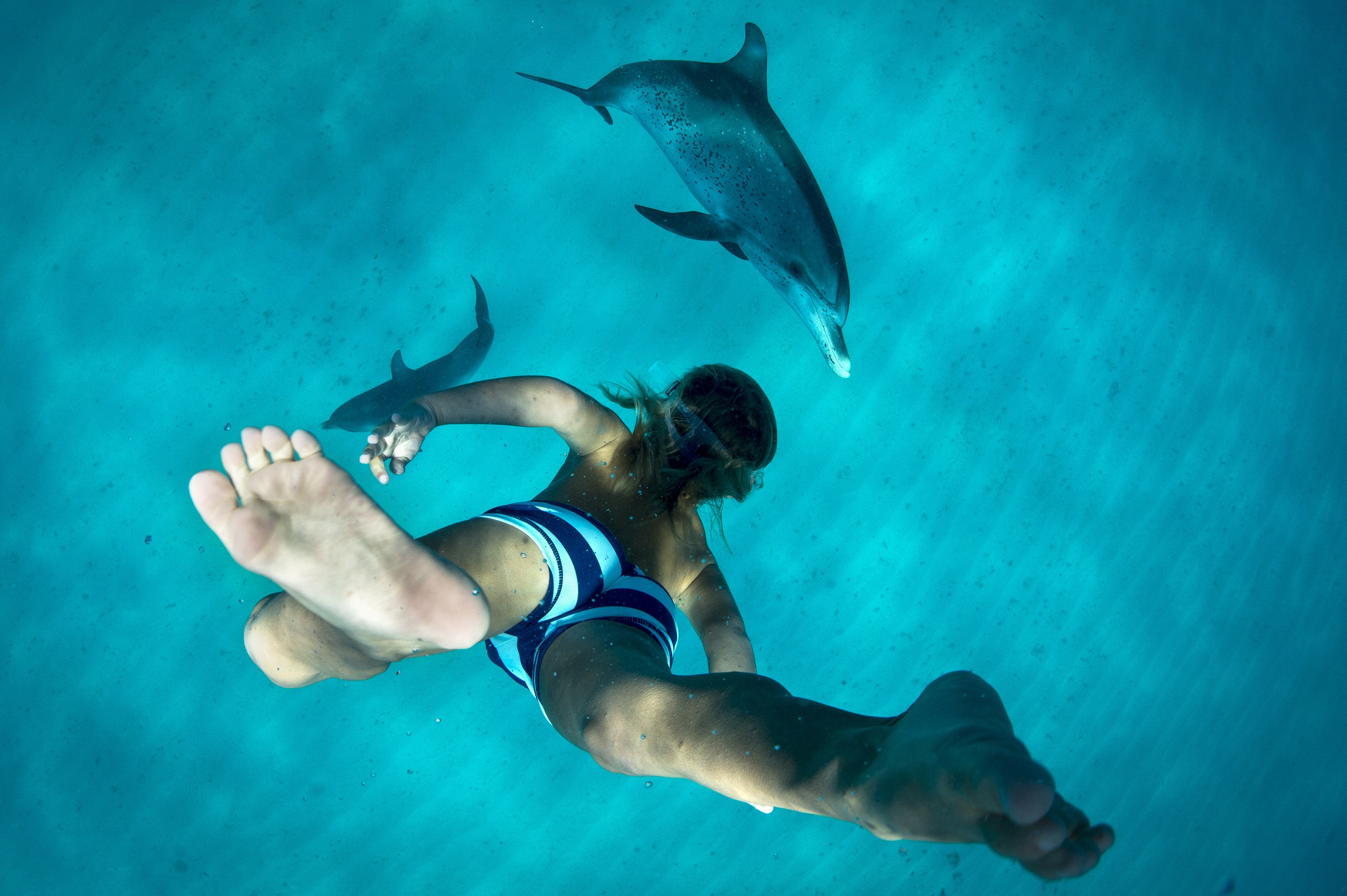 海豚屋礁石浮潛海上之旅(含接送)- 馬薩阿拉姆 海豚屋礁石浮潛海上之旅(含接送)- 馬薩阿拉姆