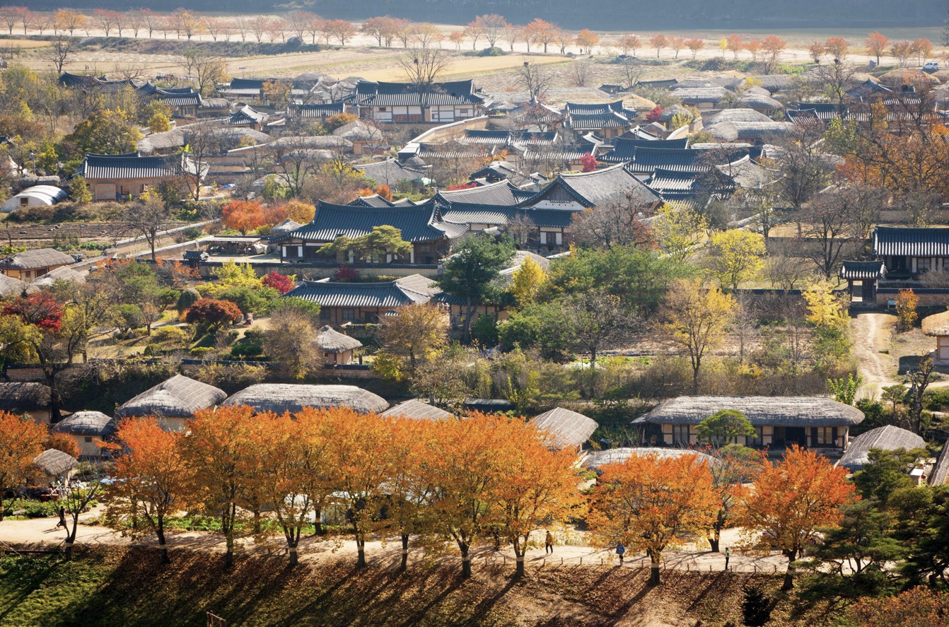 我們的下一個行程是參觀安東河回村，這裡是韓國最著名的民俗村之一。該村莊被洛東江環繞，是豐山柳氏後裔的家園，他們仍然佔居民的70%。