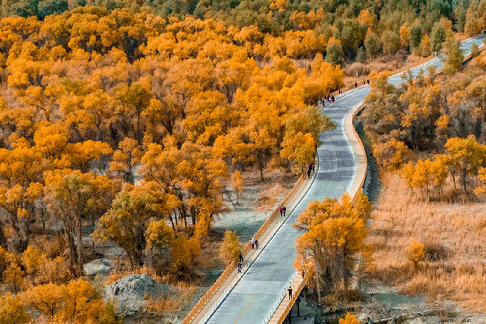 8-Day Autumn Scenery of Southern Xinjiang's Tarim, starting from Urumqi, Xinjiang and ending in Kashgar, 6-person group tour 