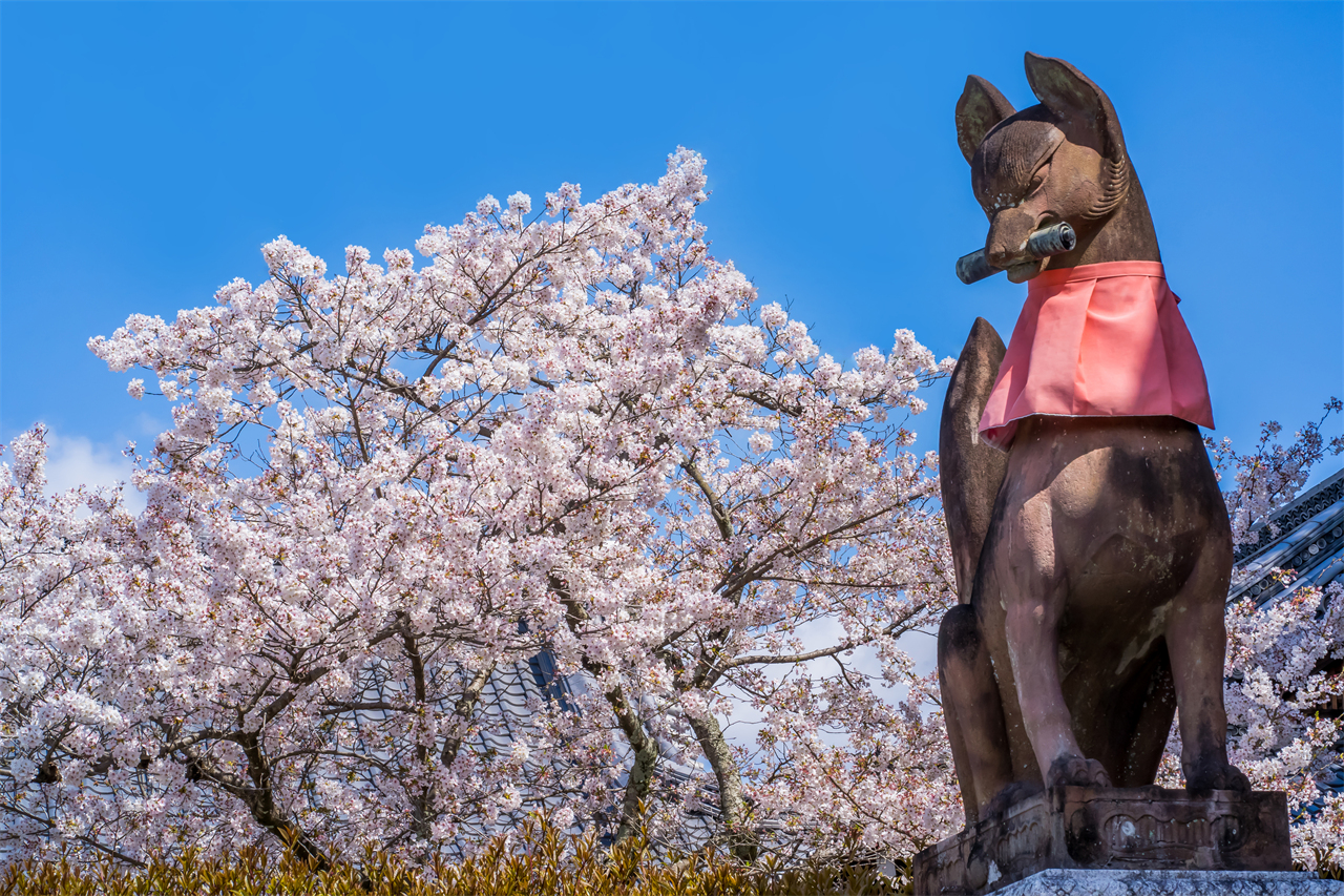 【京都三大名所一日遊 】 世界文化遺產金閣寺（鹿苑寺）&清水寺祈福&二三年坂&伏見稻荷大社千本鳥居 | 京都或大阪出發