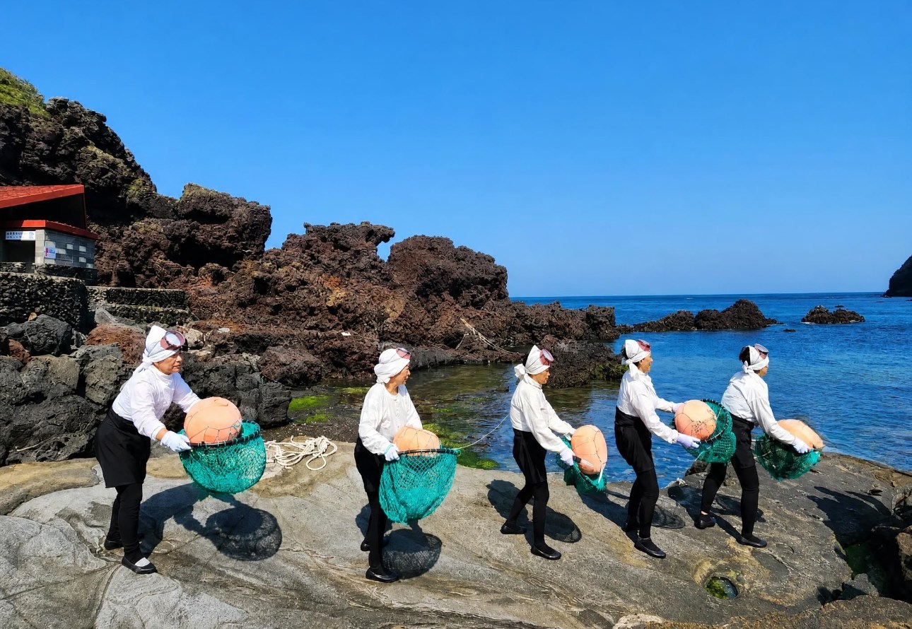 在城山日出峰觀賞海女表演，體驗濟州島的活文化遺產。欣賞傳奇海女的精彩演出，了解她們的傳統，並在海邊享受獨特的文化表演。