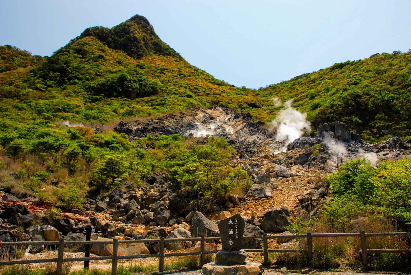 富士山＆蘆之湖＆大涌谷一日遊（東京出發）