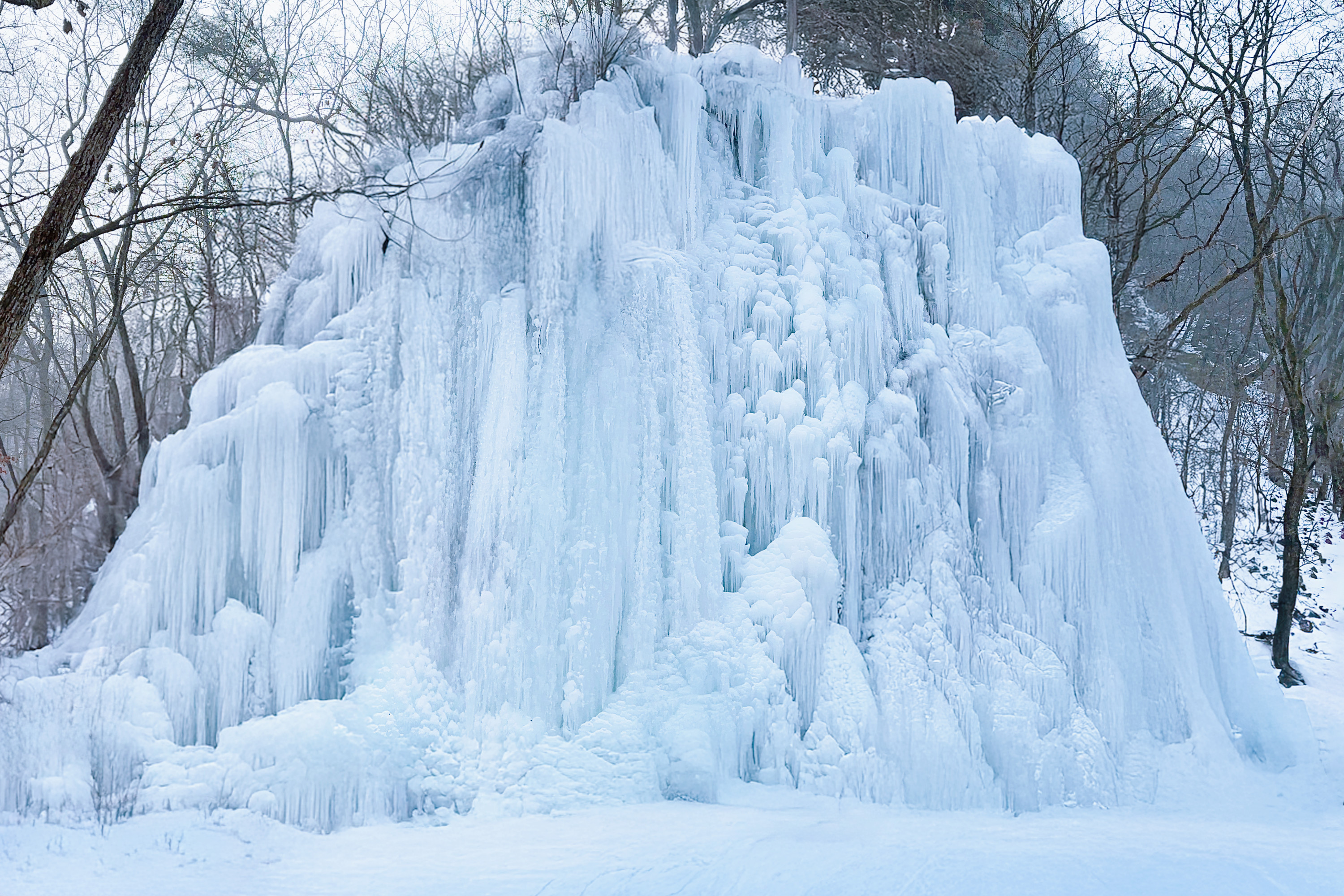 Nami Island / Cheon Il Hong / Pink Muhly / Rail Bike Day Tour