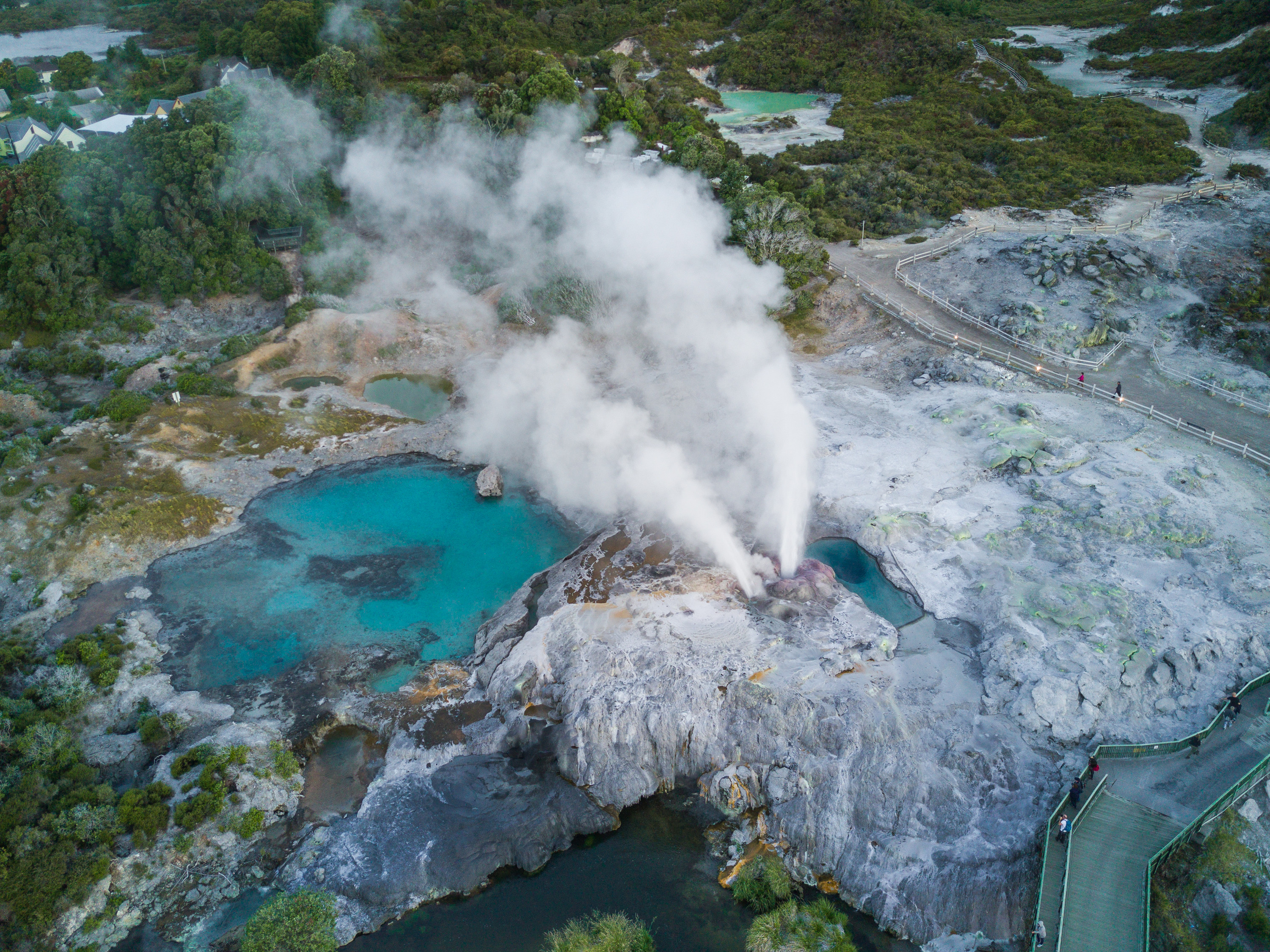 Rotorua Te Puia Tour, Haka & Maori Village Small Group Tour from Auckland
