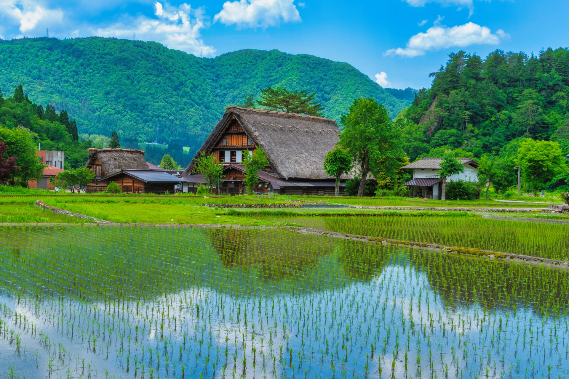 Takayama & Shirakawa-go Day Tour with Hida Beef Lunch