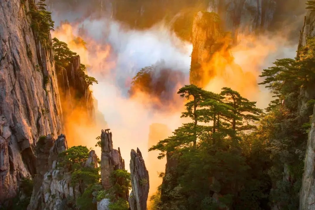 Full-Day Private Huangshan Mountains & Tunxi Old Street Tour