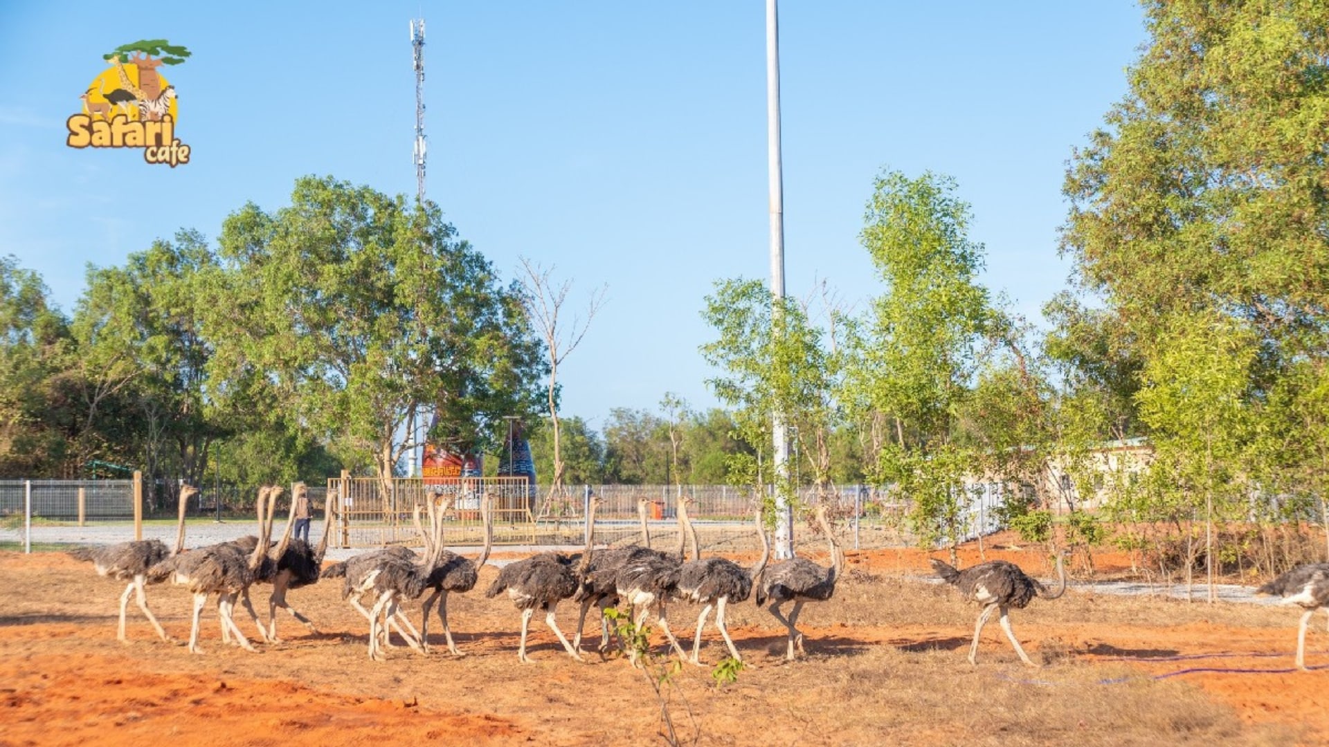 Novadreams Phan Thiet Ticket