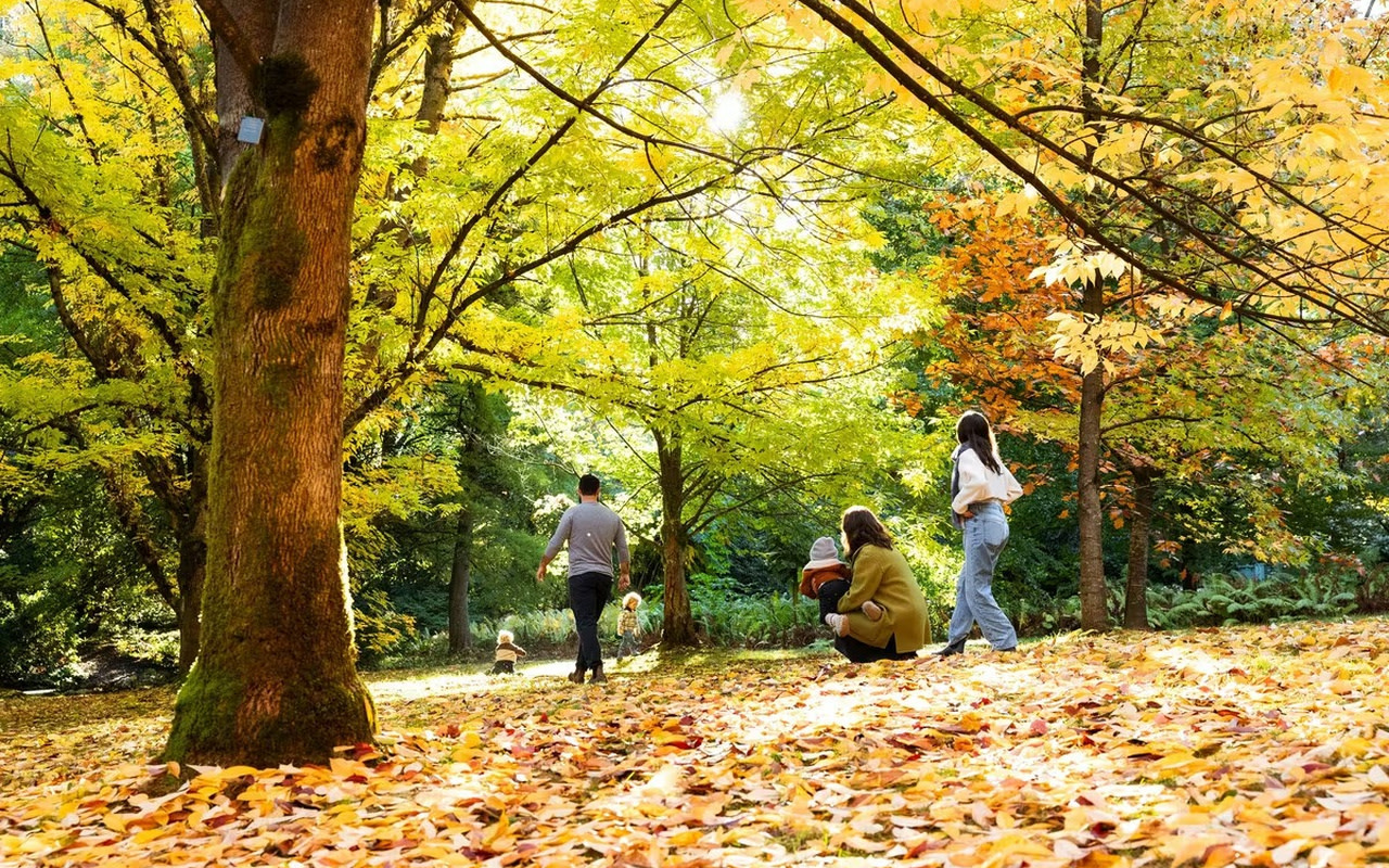 沉浸在秋日繽紛色彩中，在大自然的美景裡，創造珍貴的家庭回憶。
