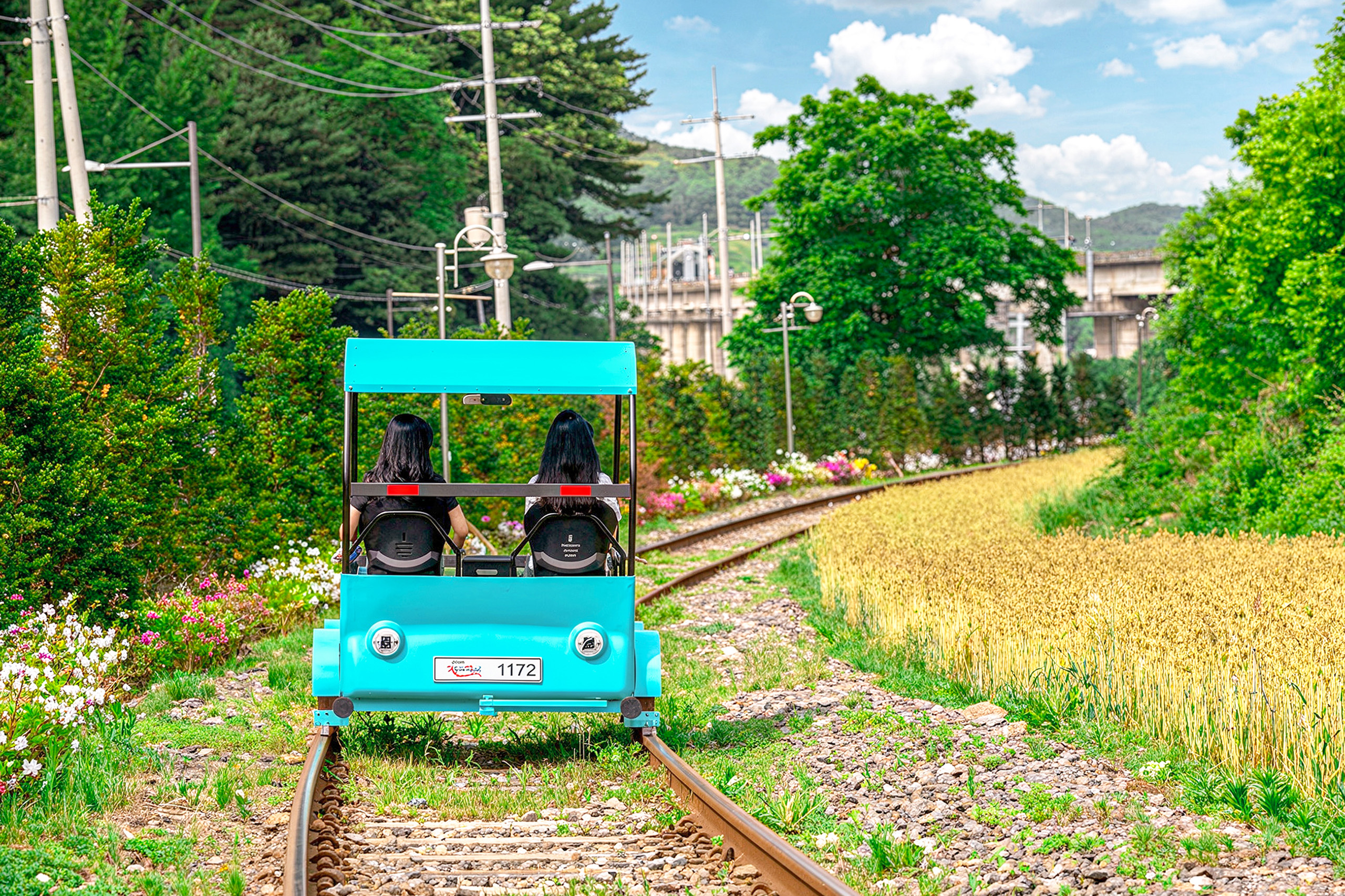 騎乘韓國江村鐵道自行車，穿越大自然，沿途欣賞風景優美的軌道，並通過各式各樣的隧道，為家庭和情侶提供獨特的體驗。