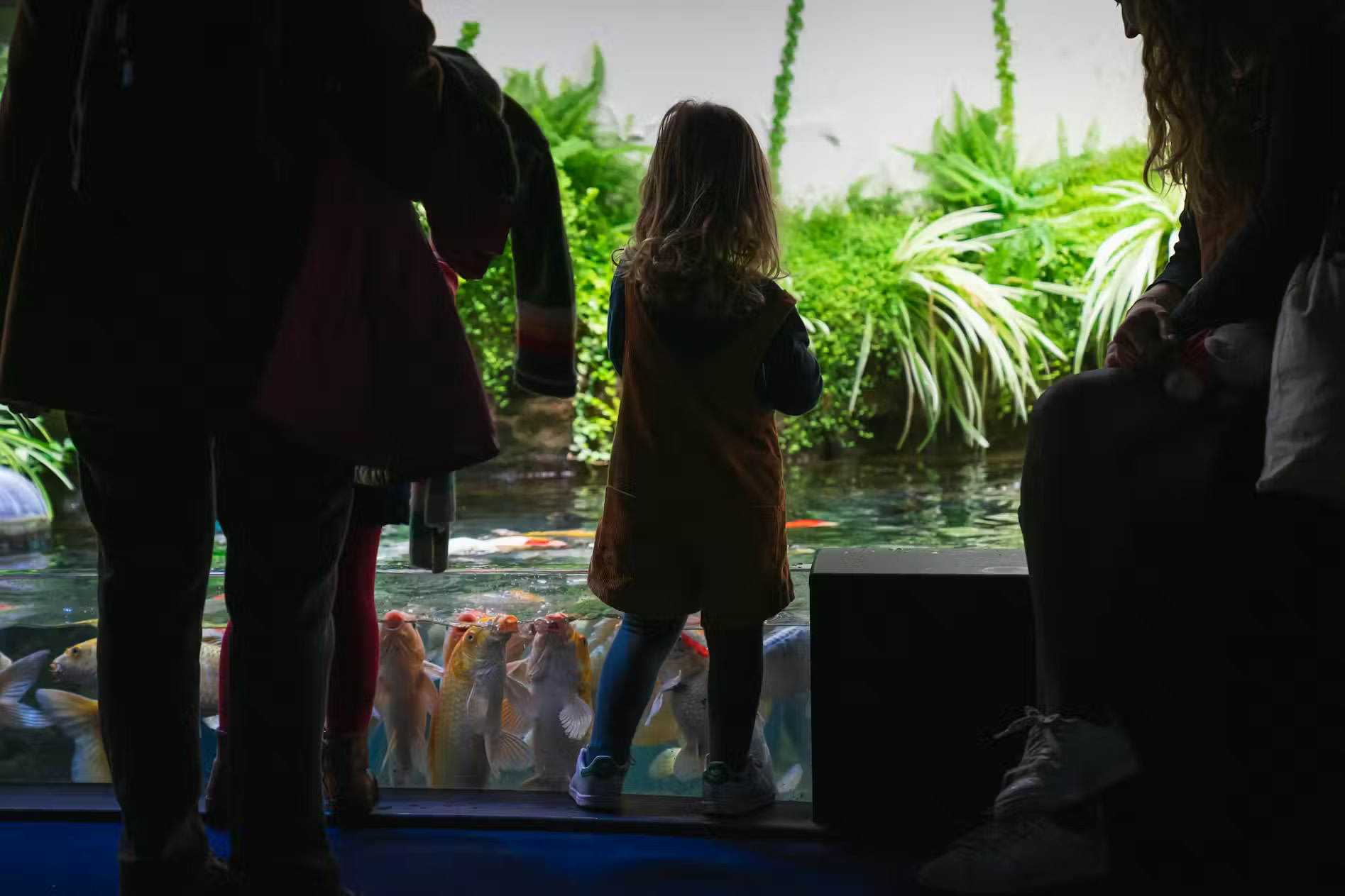 在有趣且適合家庭的室內景點度過美好時光