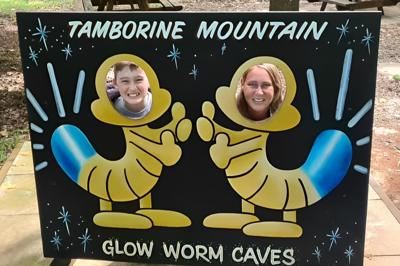 Glow Worms, Rainforest Lookouts and Shopping Tour in Mount Tamborine