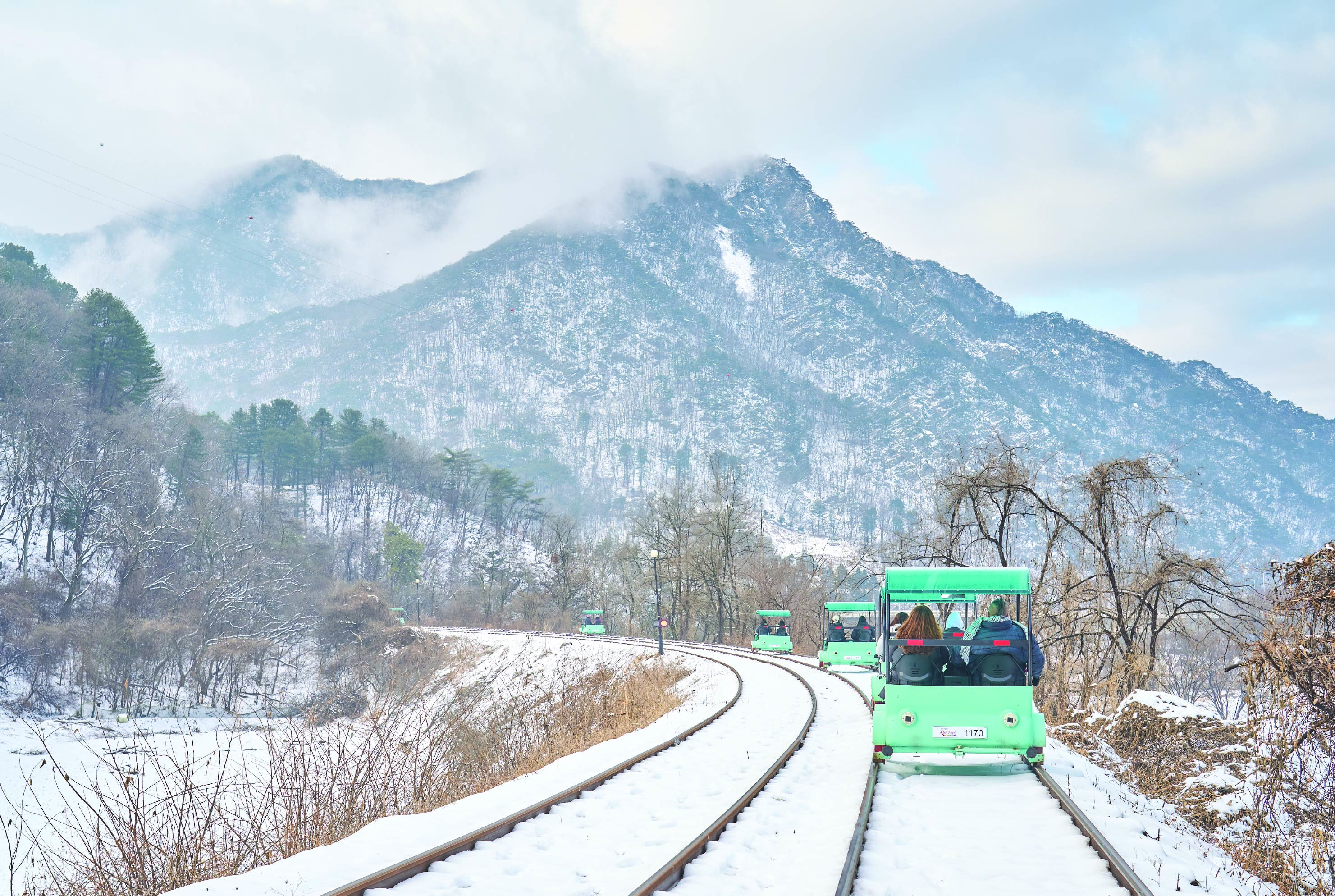 南怡島 (Nami Island) & 伊甸園冰雪世界 (Eobi Ice Valley) & 全景場 (Panorama Field) &  晨靜樹木園 (Morning Calm) 旅遊