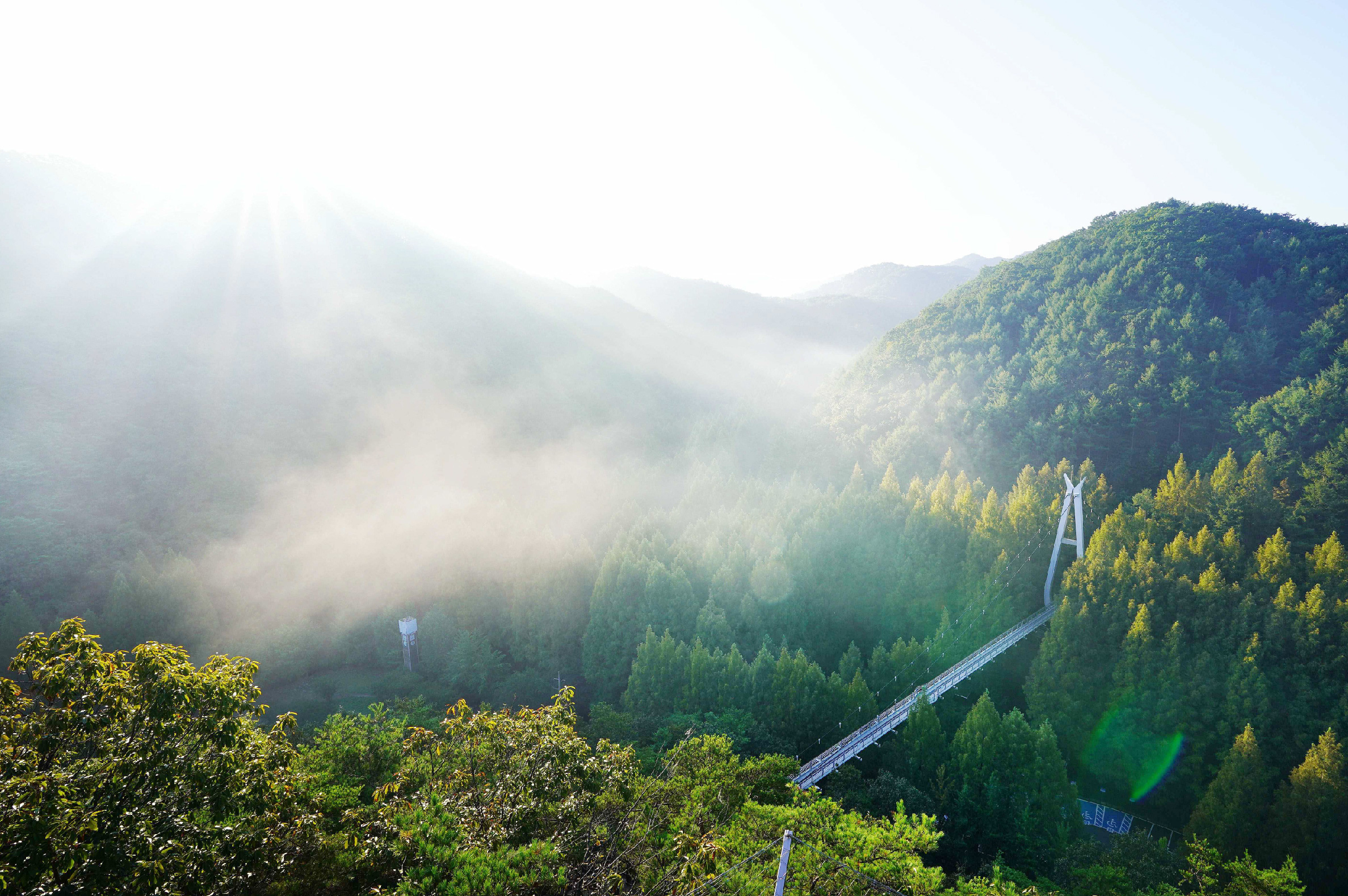 全州韓屋村＆季節性熱門景點一日遊