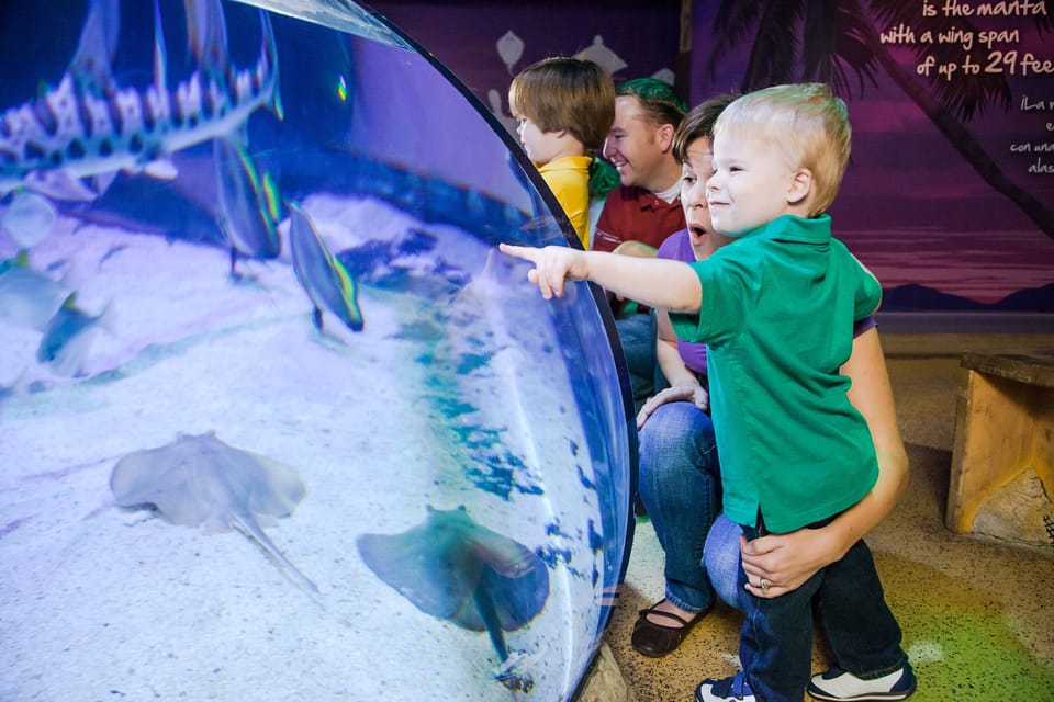 紐澤西州美國夢購物中心 SEA LIFE® 水族館門票
