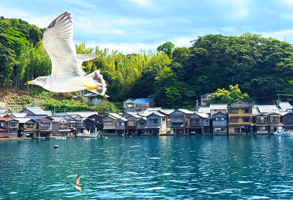 京都北部沿海的秘境漁村，約230棟傳統舟屋沿伊根灣綿延5公里。這些建於海上的木造建築與群山碧海構成和諧畫面，可乘船遊覽海灣、餵食海鷗，或免費騎行探索村落，感受"日本威尼斯"的寧靜質樸。