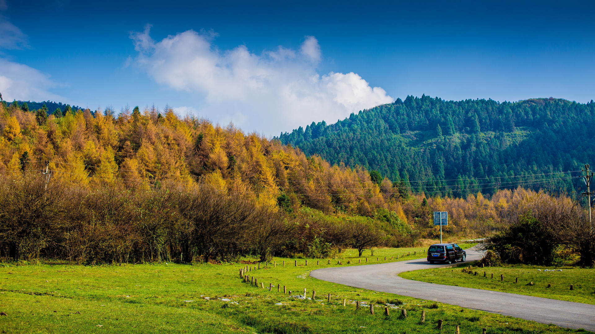 走進仙女山的林海草原