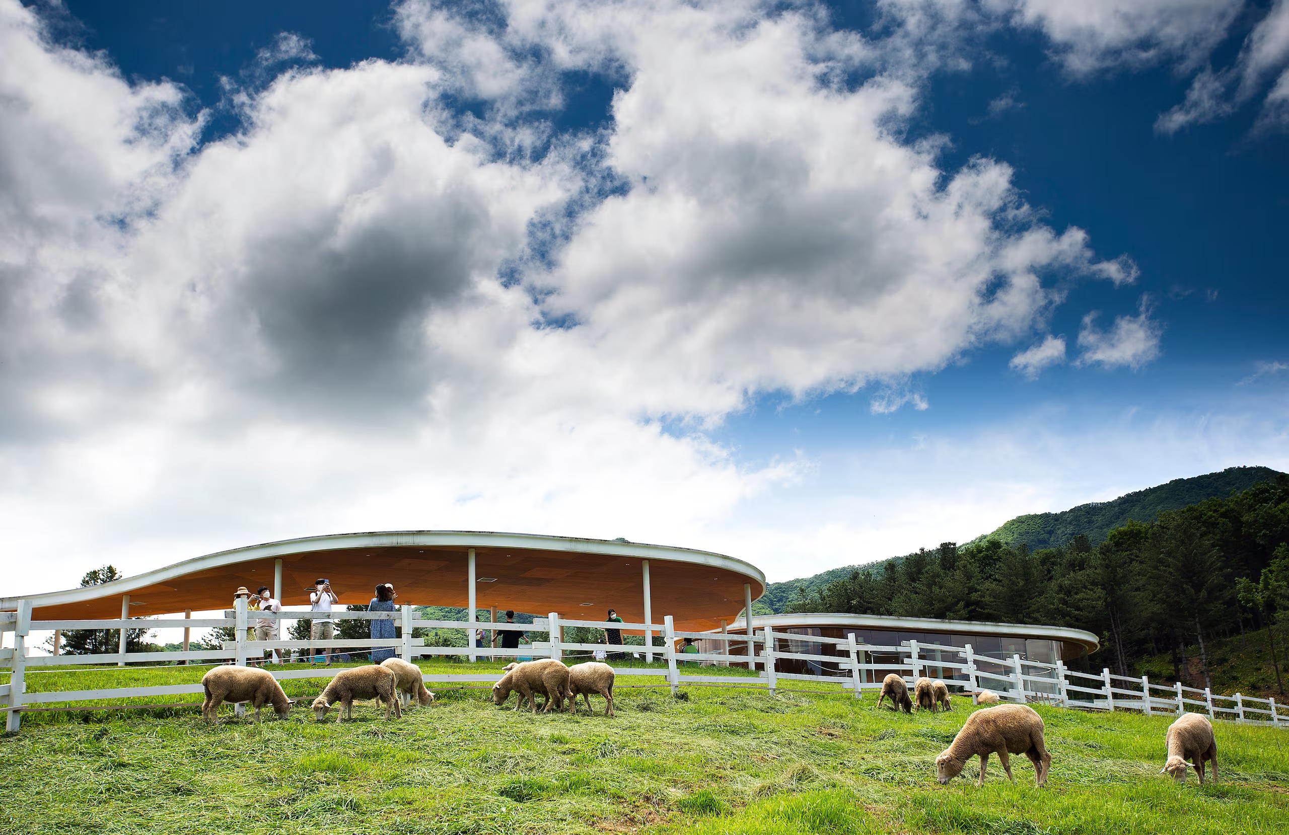 在寧靜的農場中悠閒漫步，呼吸新鮮的鄉村空氣。