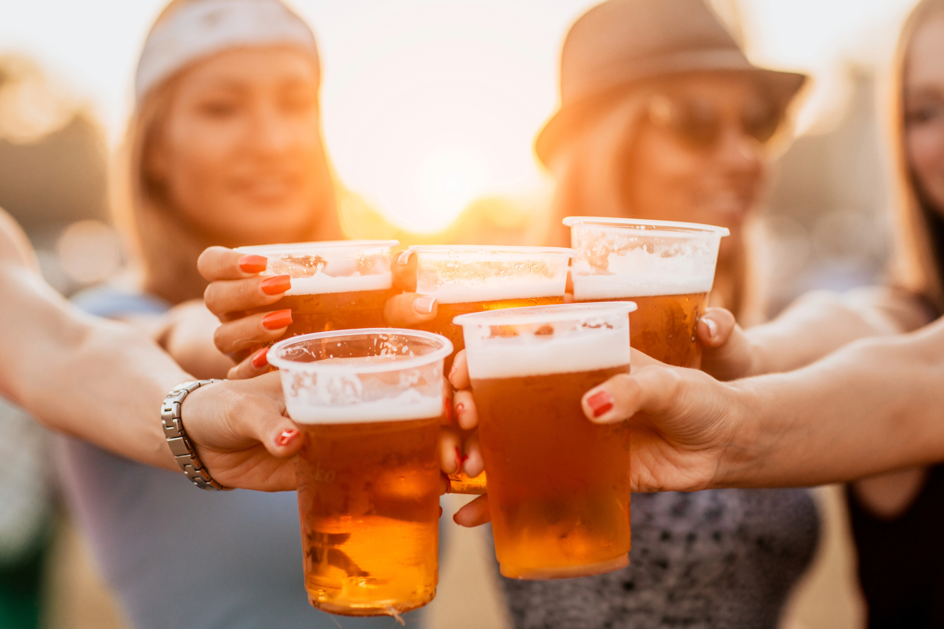 Hongcheon Starlight Music Beer Festival &amp; Alpaca Pasture