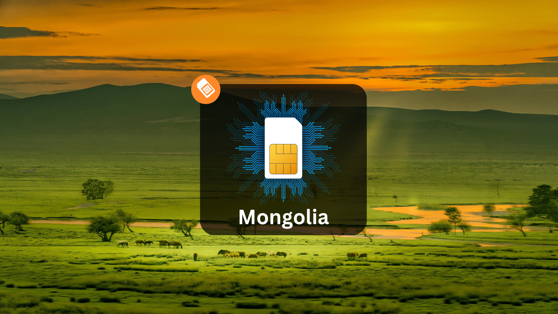 蒙古4G無限數據Sim卡（香港機場領取）