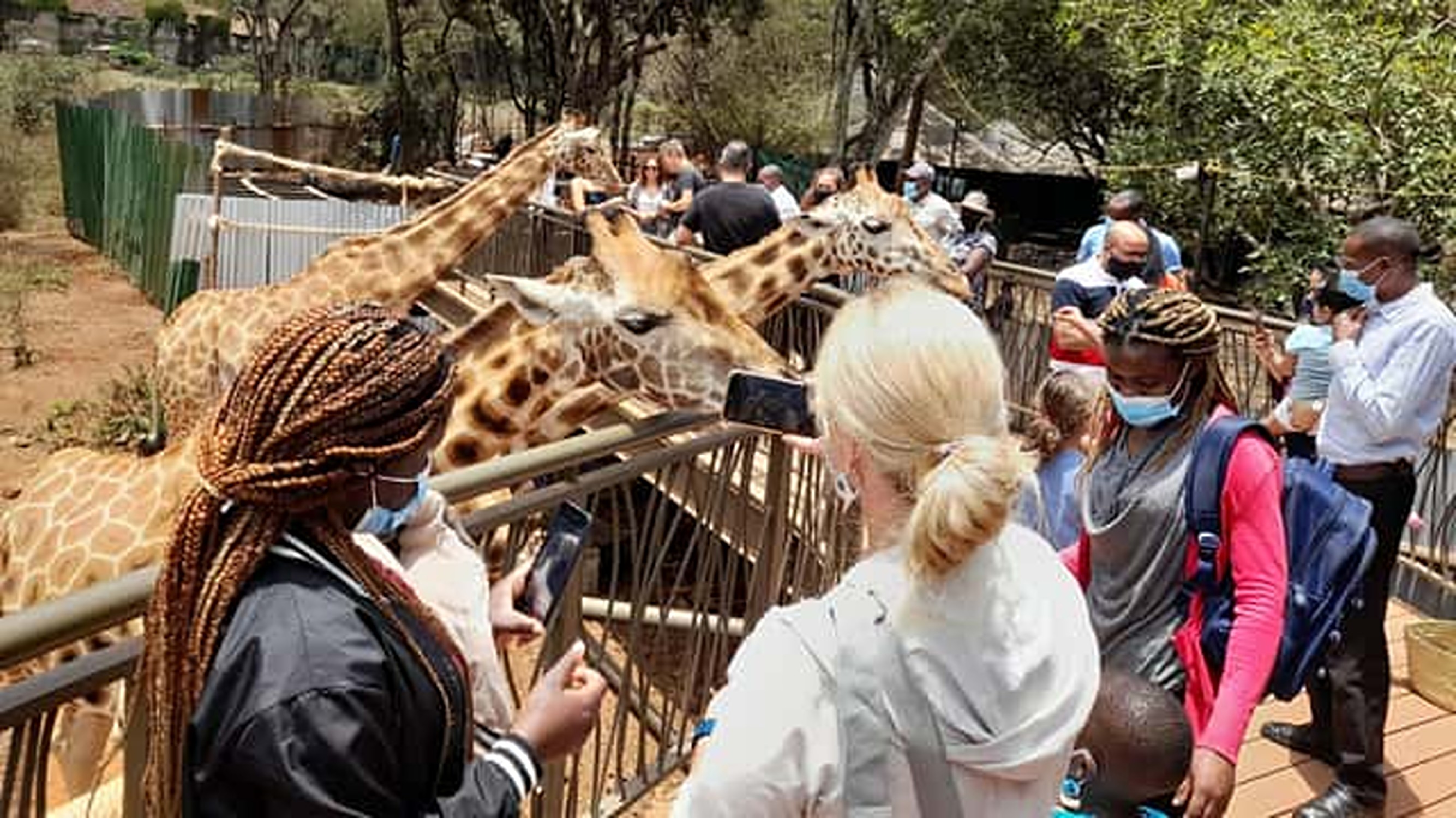 Giraffe Center and Karen Blixen Museum Tour from Nairobi.